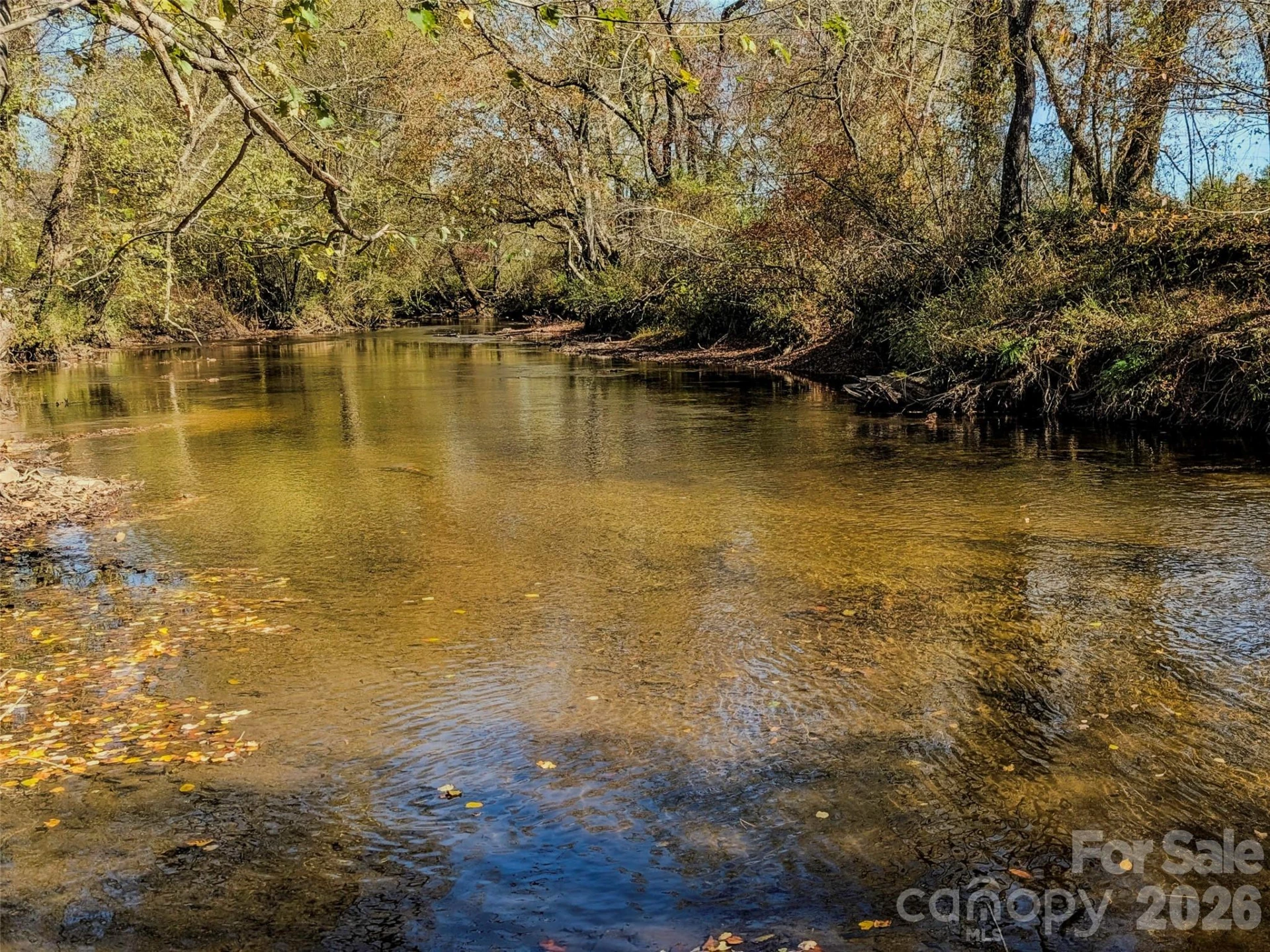 TBD Hart Road - Photo 17