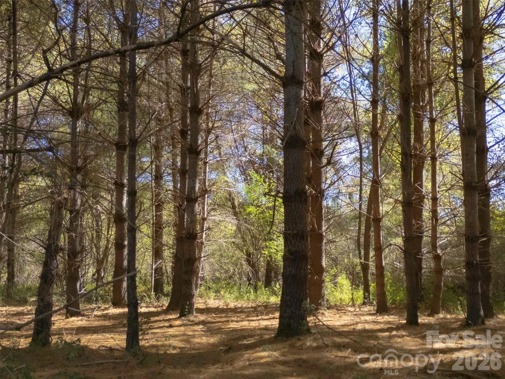 TBD Hart Road - Photo 19