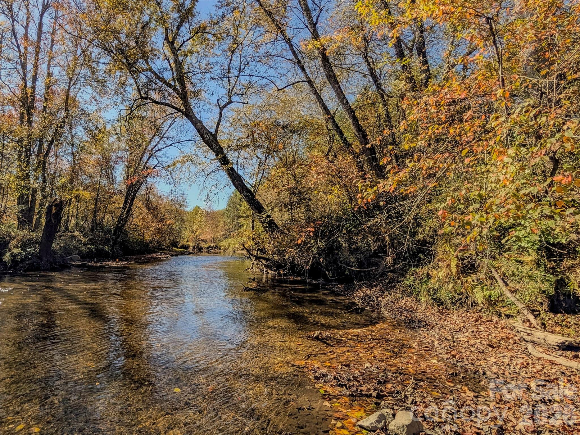 TBD Hart Road - Photo 3