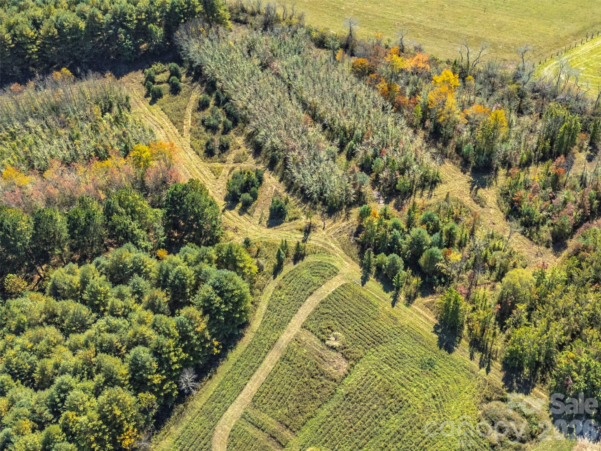 TBD Hart Road - Photo 23