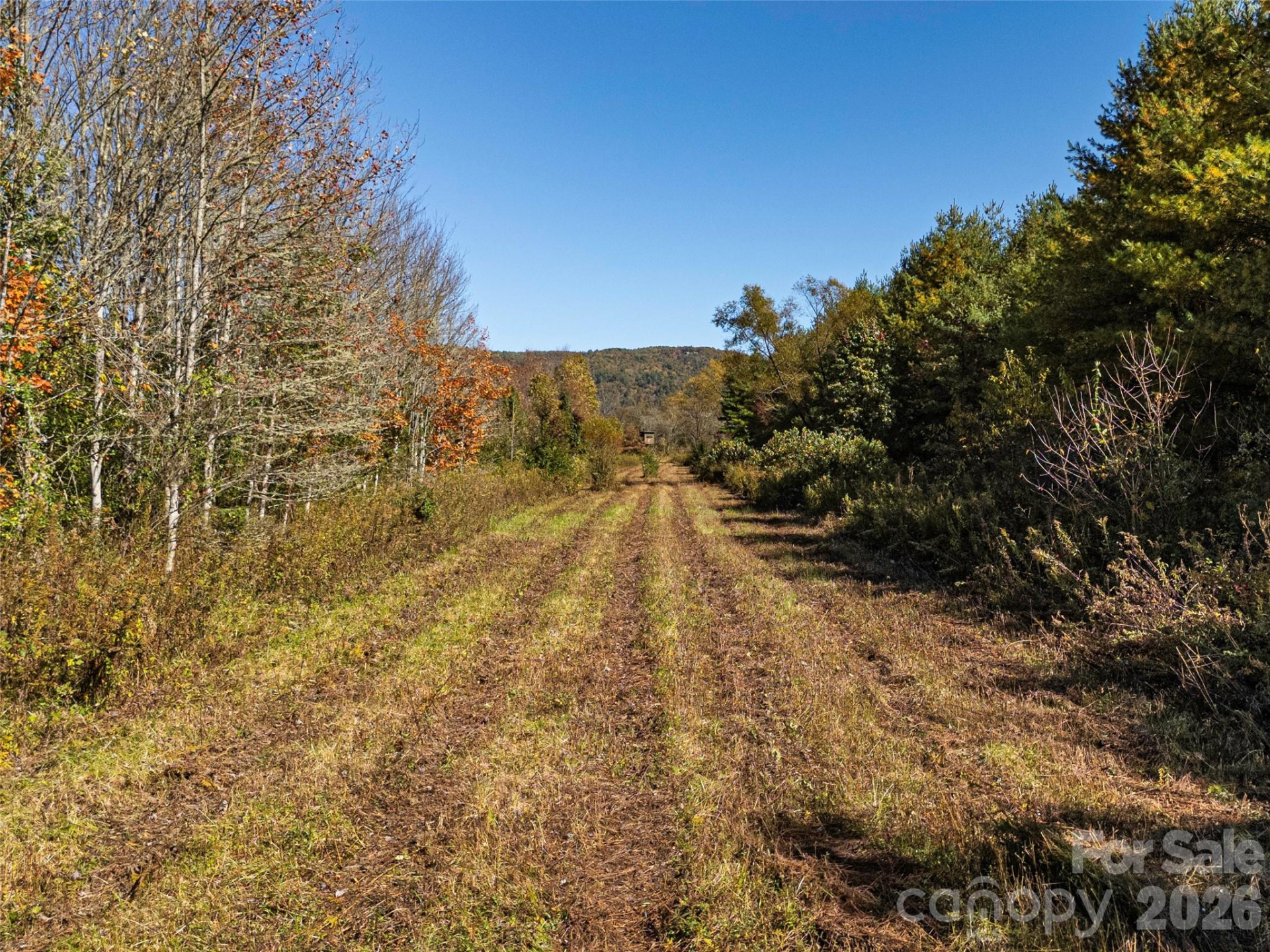 TBD Hart Road - Photo 24