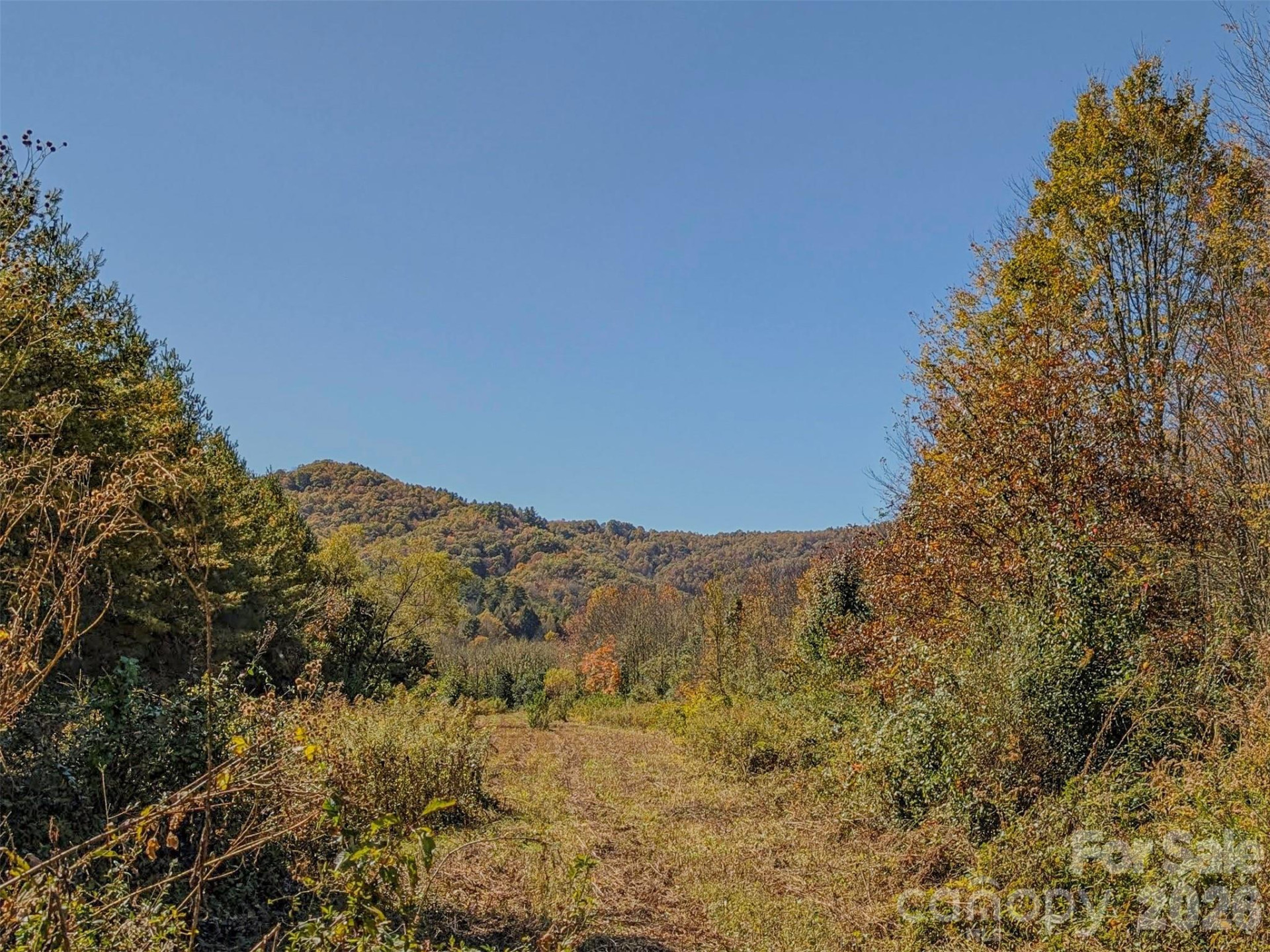 TBD Hart Road - Photo 4