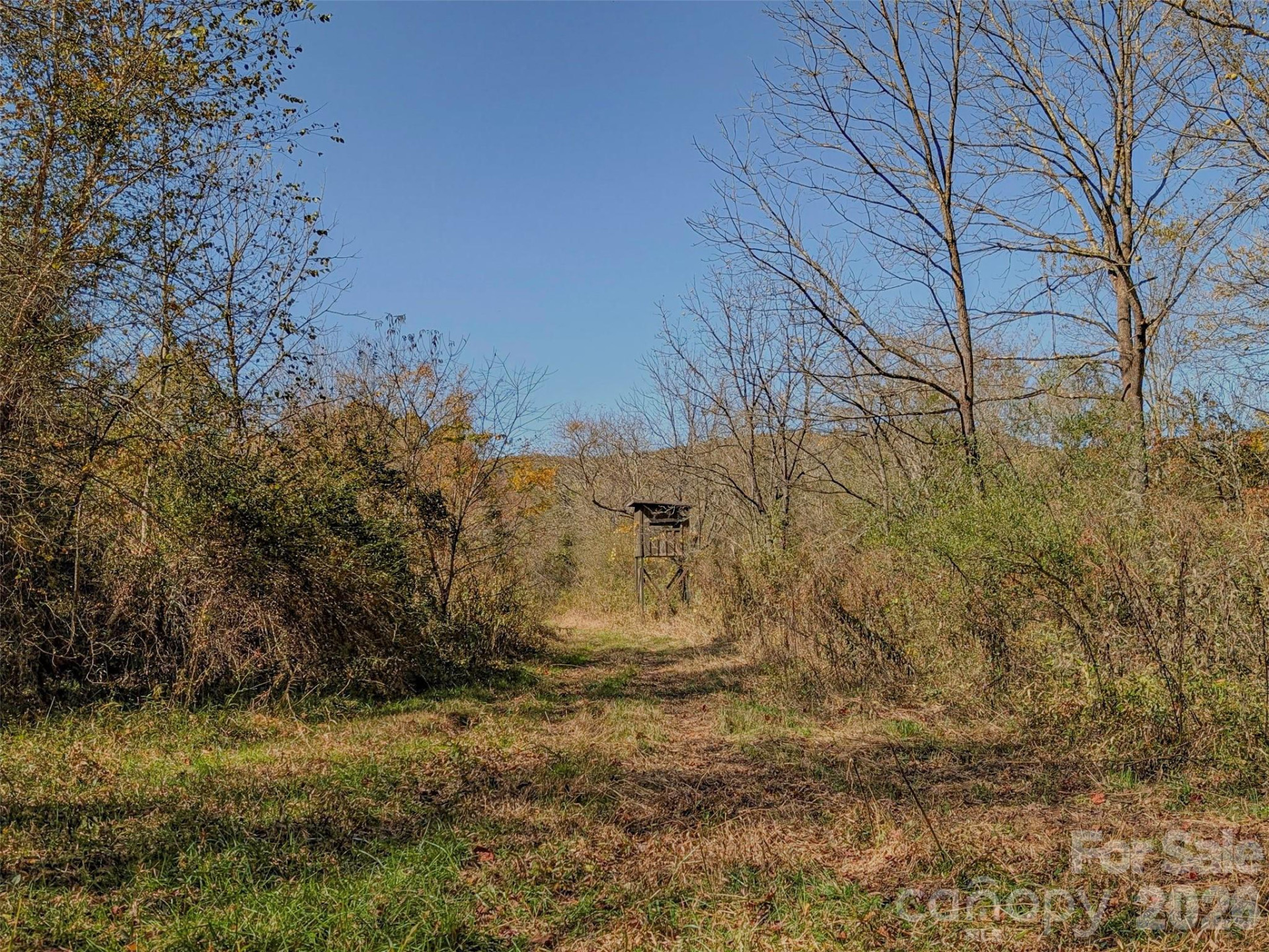 TBD Hart Road - Photo 31