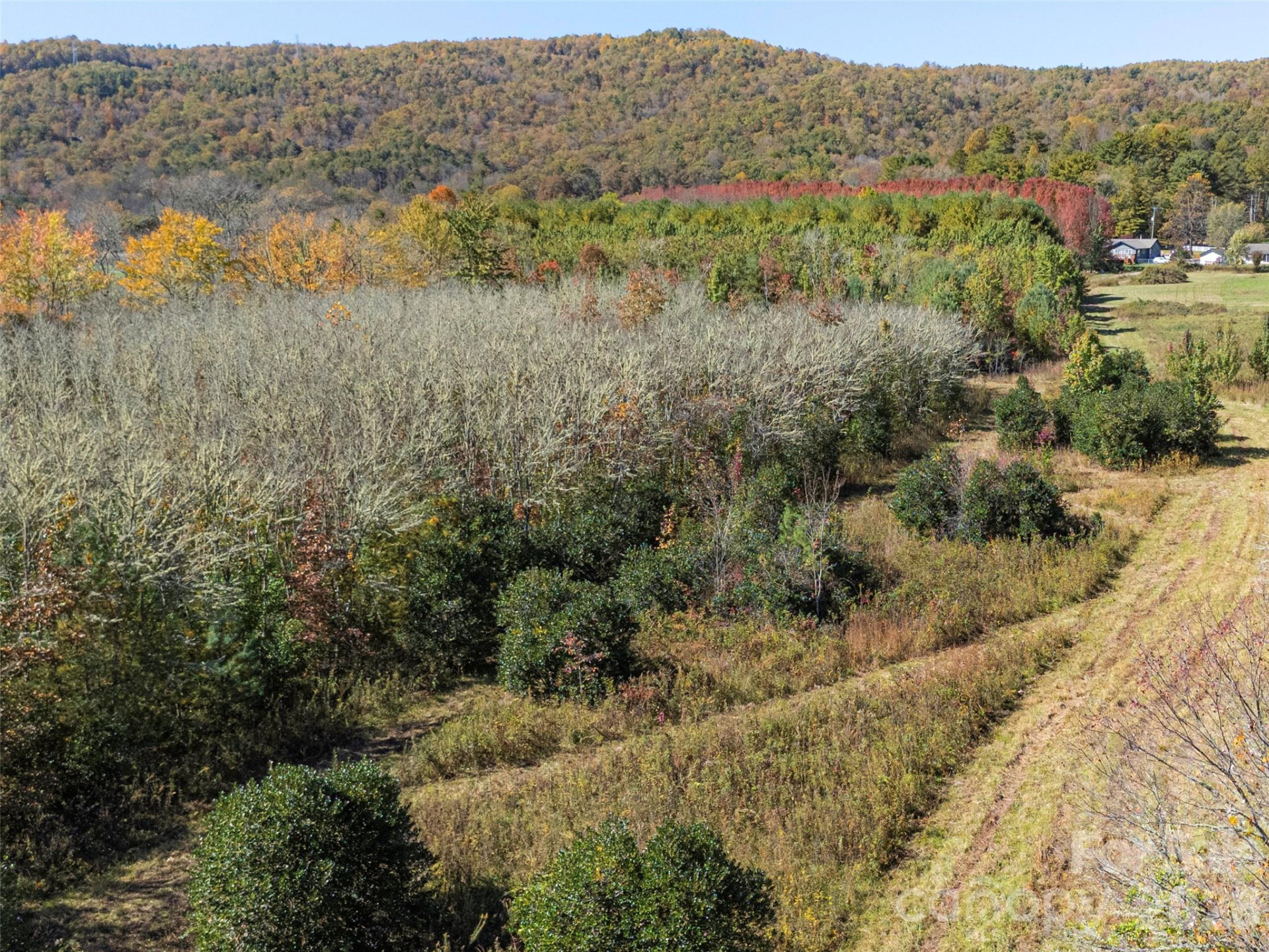 TBD Hart Road - Photo 36