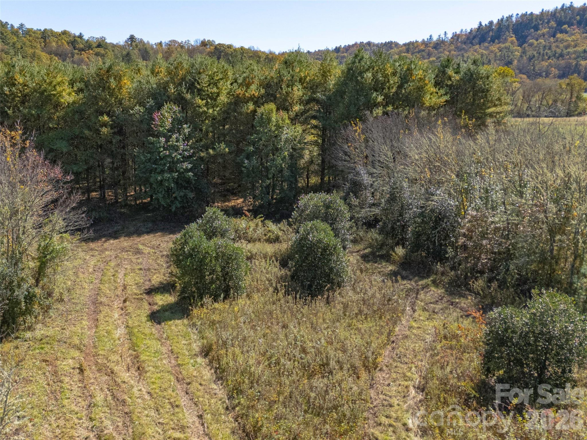 TBD Hart Road - Photo 40