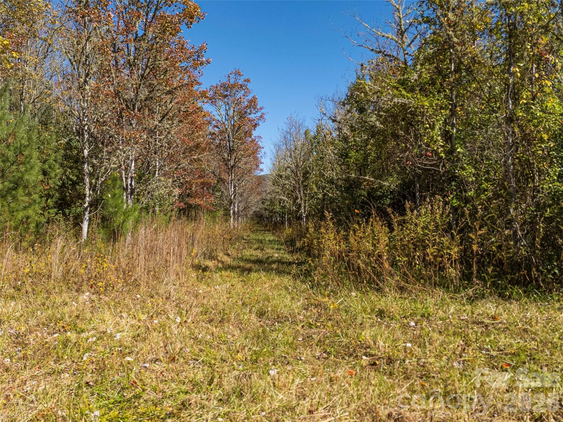 TBD Hart Road - Photo 41