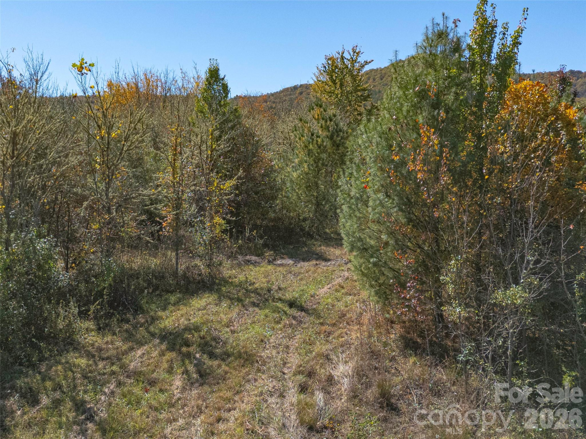 TBD Hart Road - Photo 42