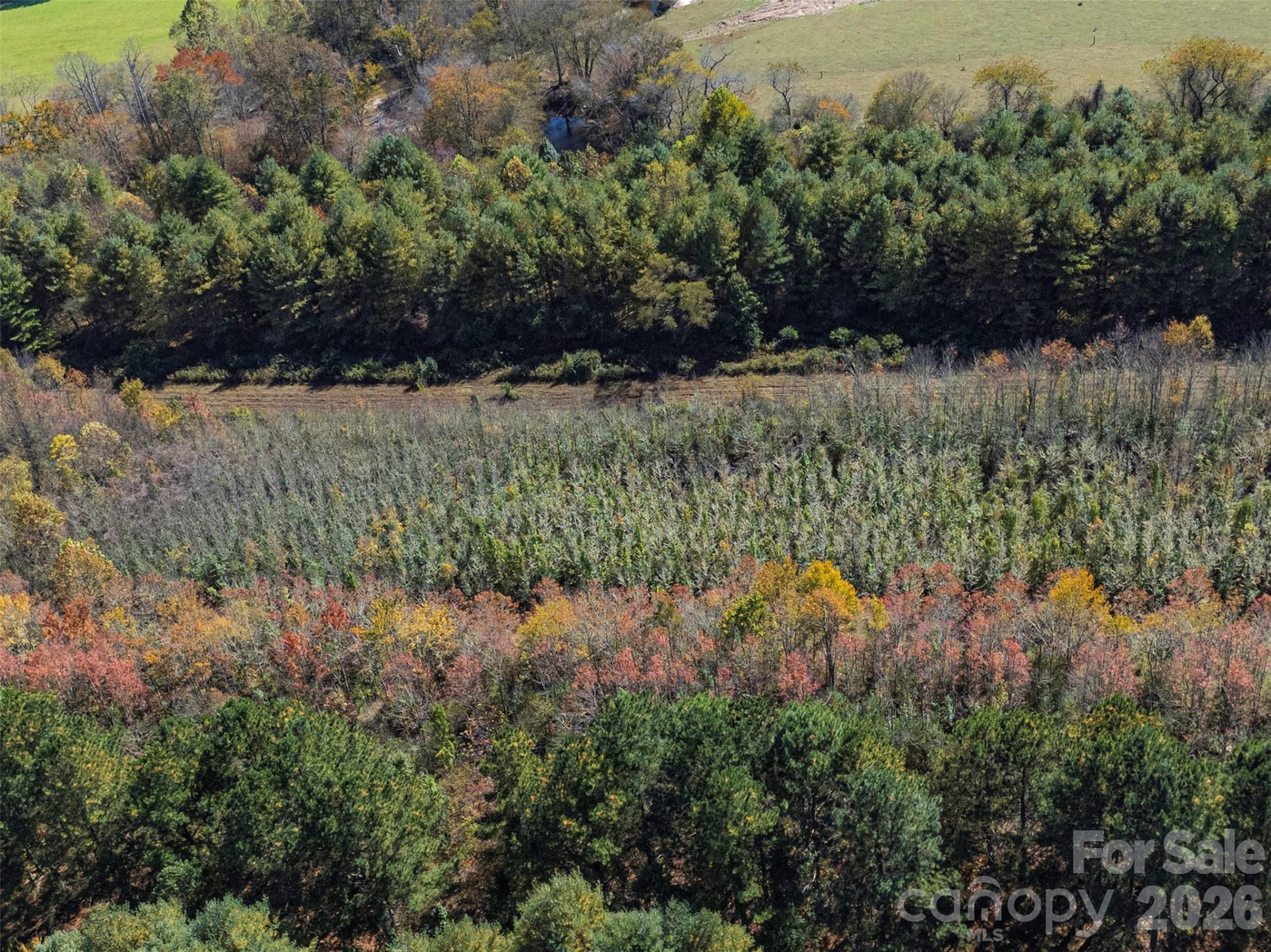 TBD Hart Road - Photo 43