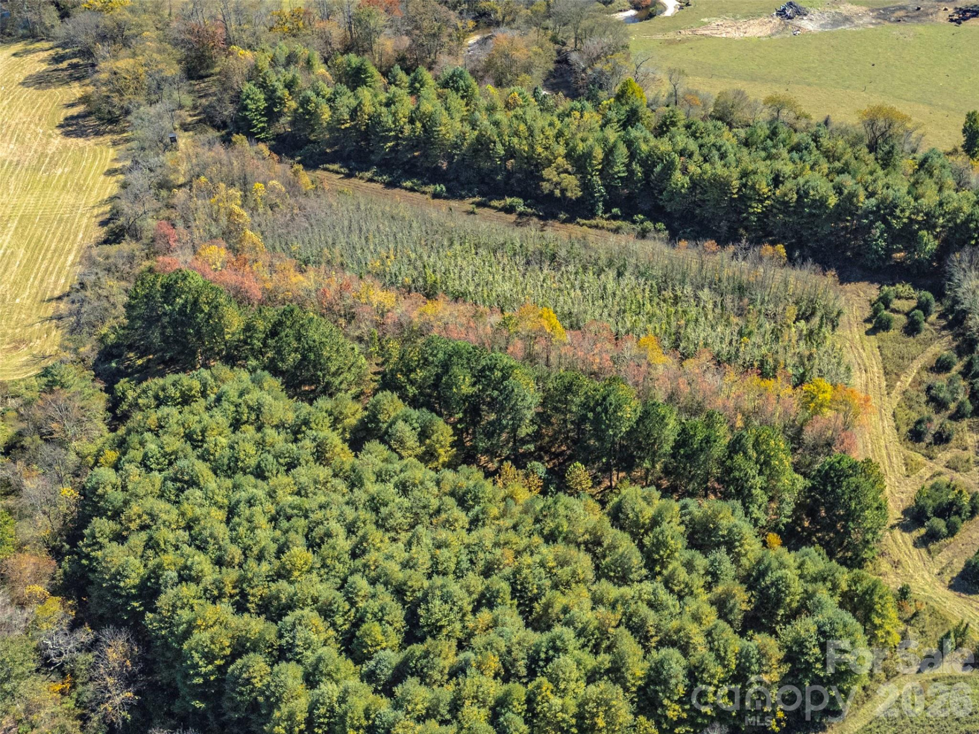 TBD Hart Road - Photo 45