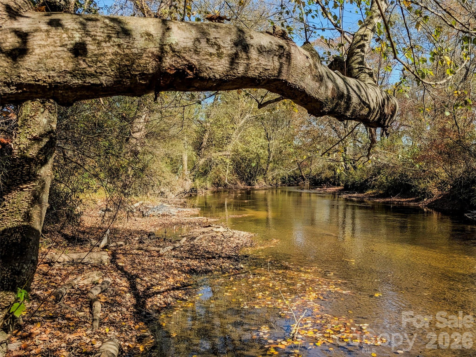 TBD Hart Road - Photo 6