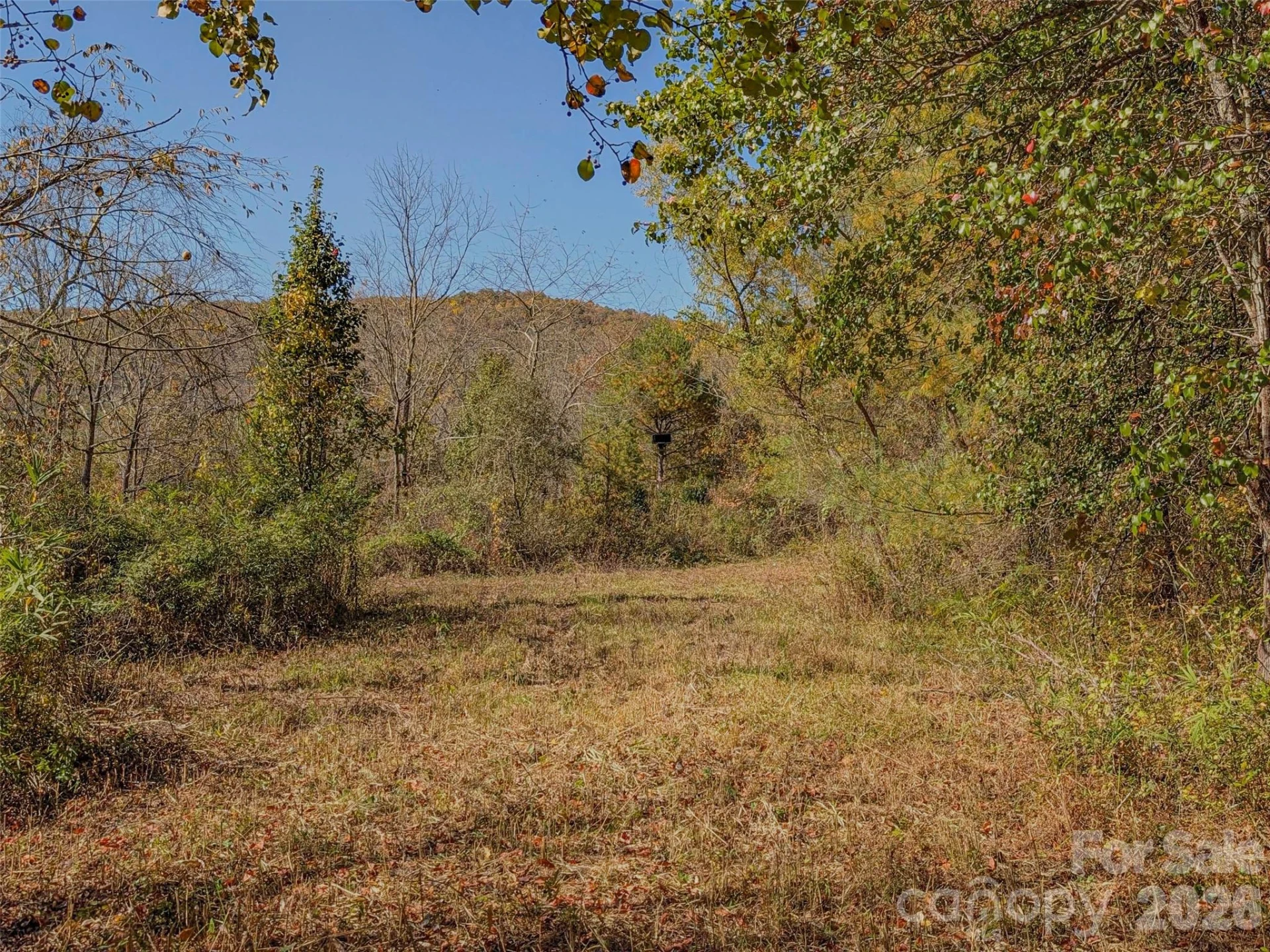 TBD Hart Road - Photo 7