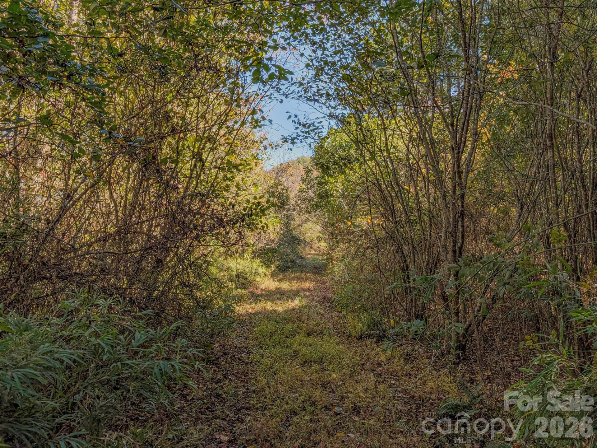 TBD Hart Road - Photo 8