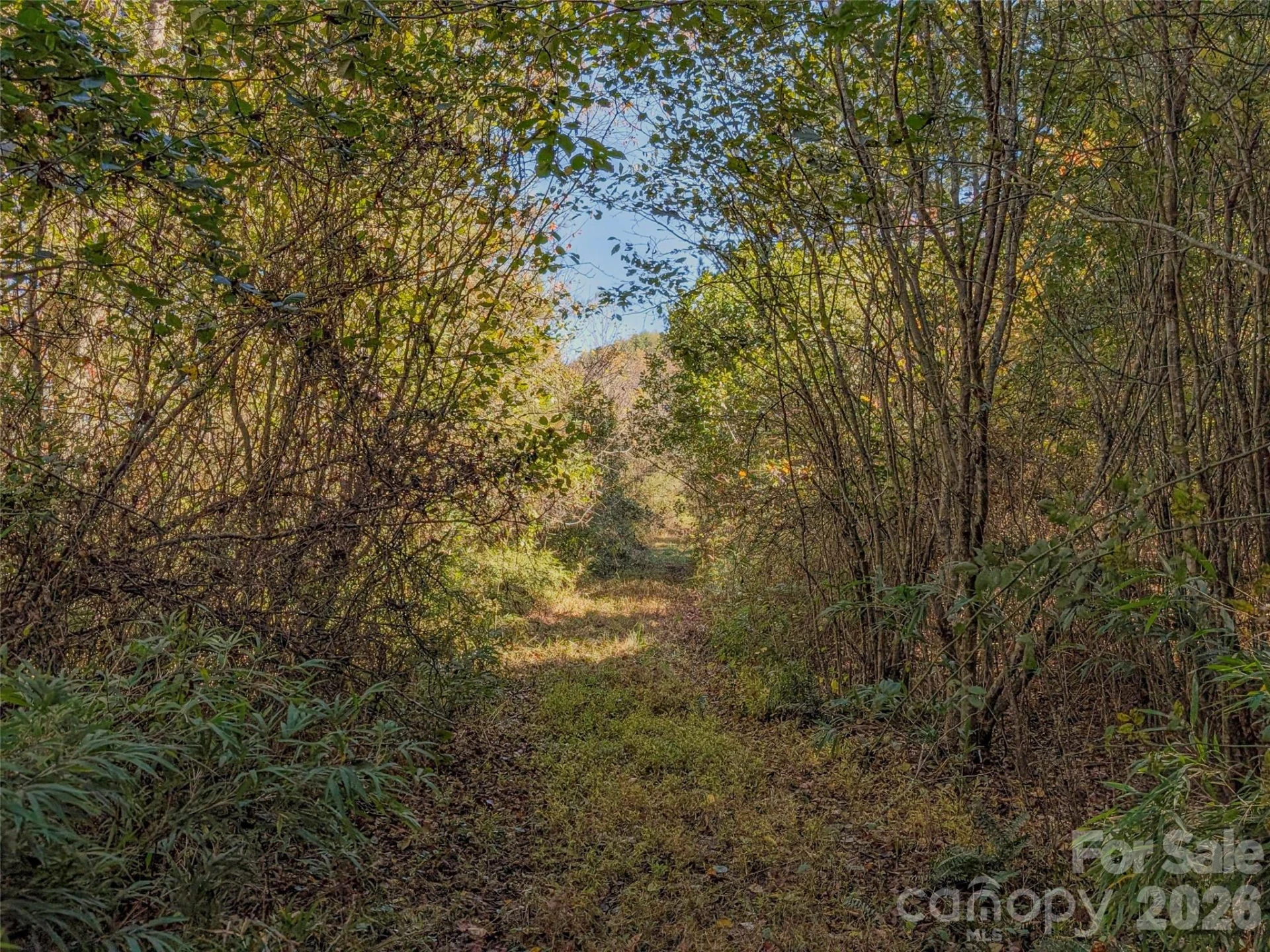TBD Hart Road - Photo 8