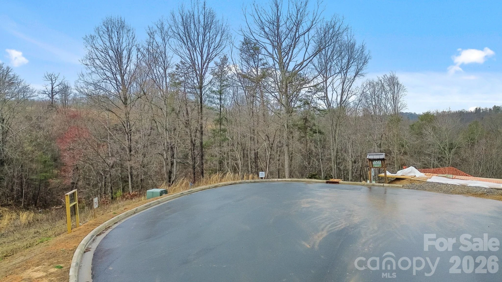 406 Blue Mind Way #75 - Photo 3