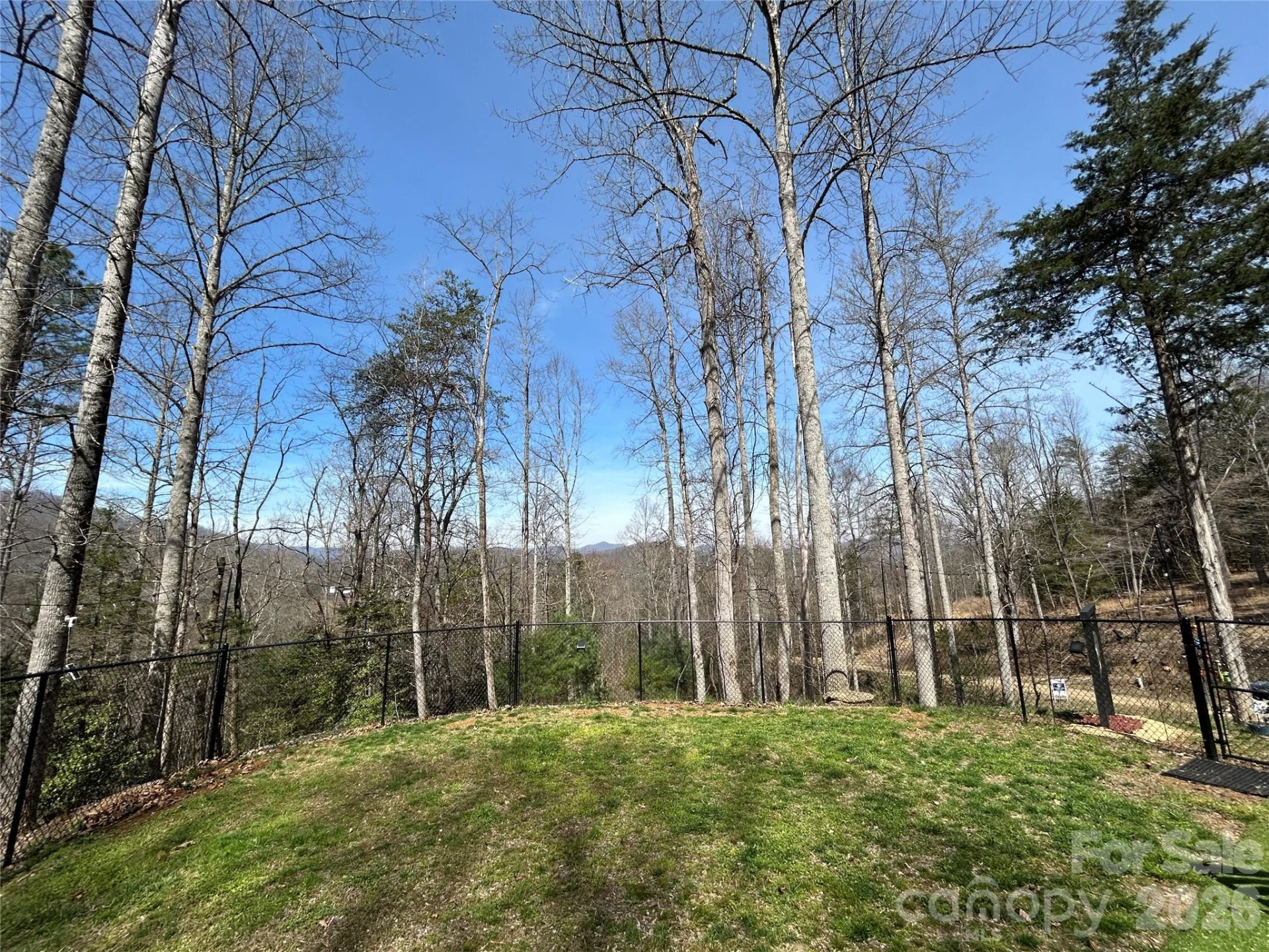 73 Bear Oat Trail - Photo 26