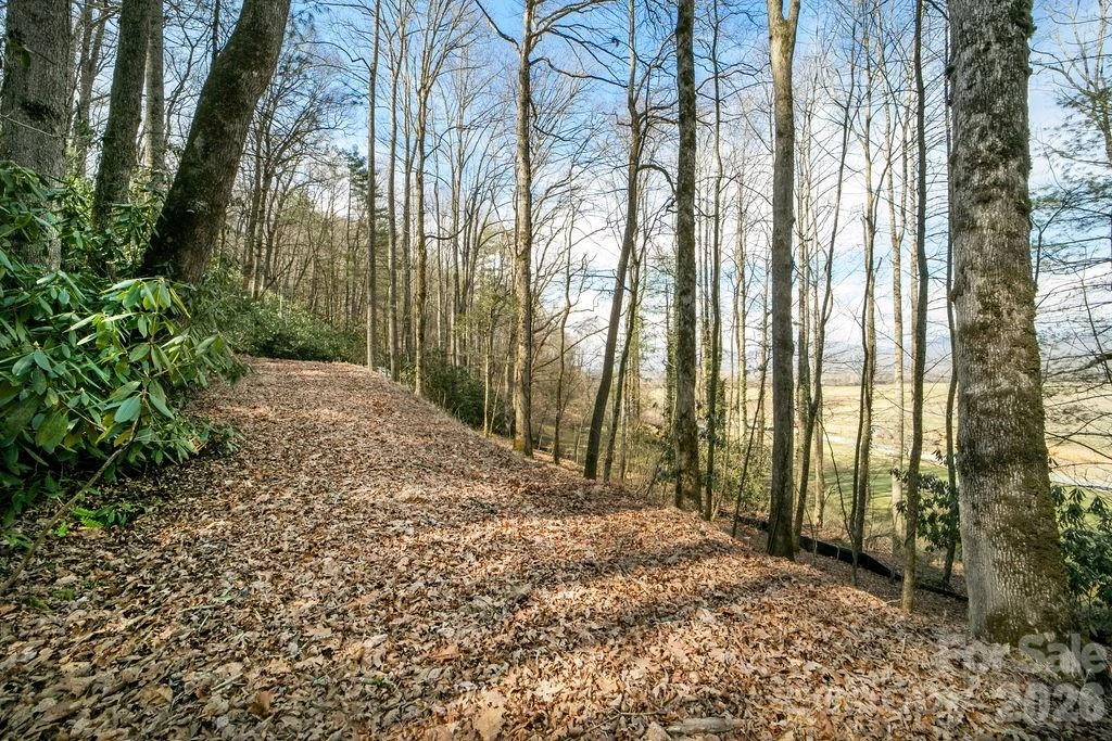 Lot 4-R Middlemount Road - Photo 3
