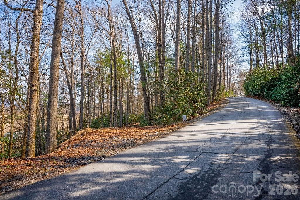 Lot 4-R Middlemount Road - Photo 4