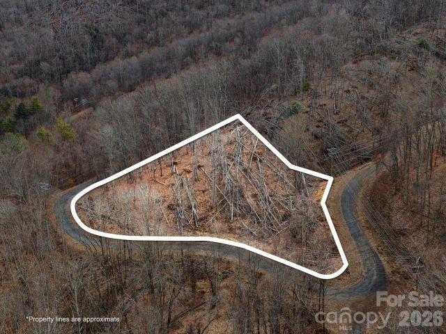 99999 Winterberry Road, Burnsville, NC, 28714