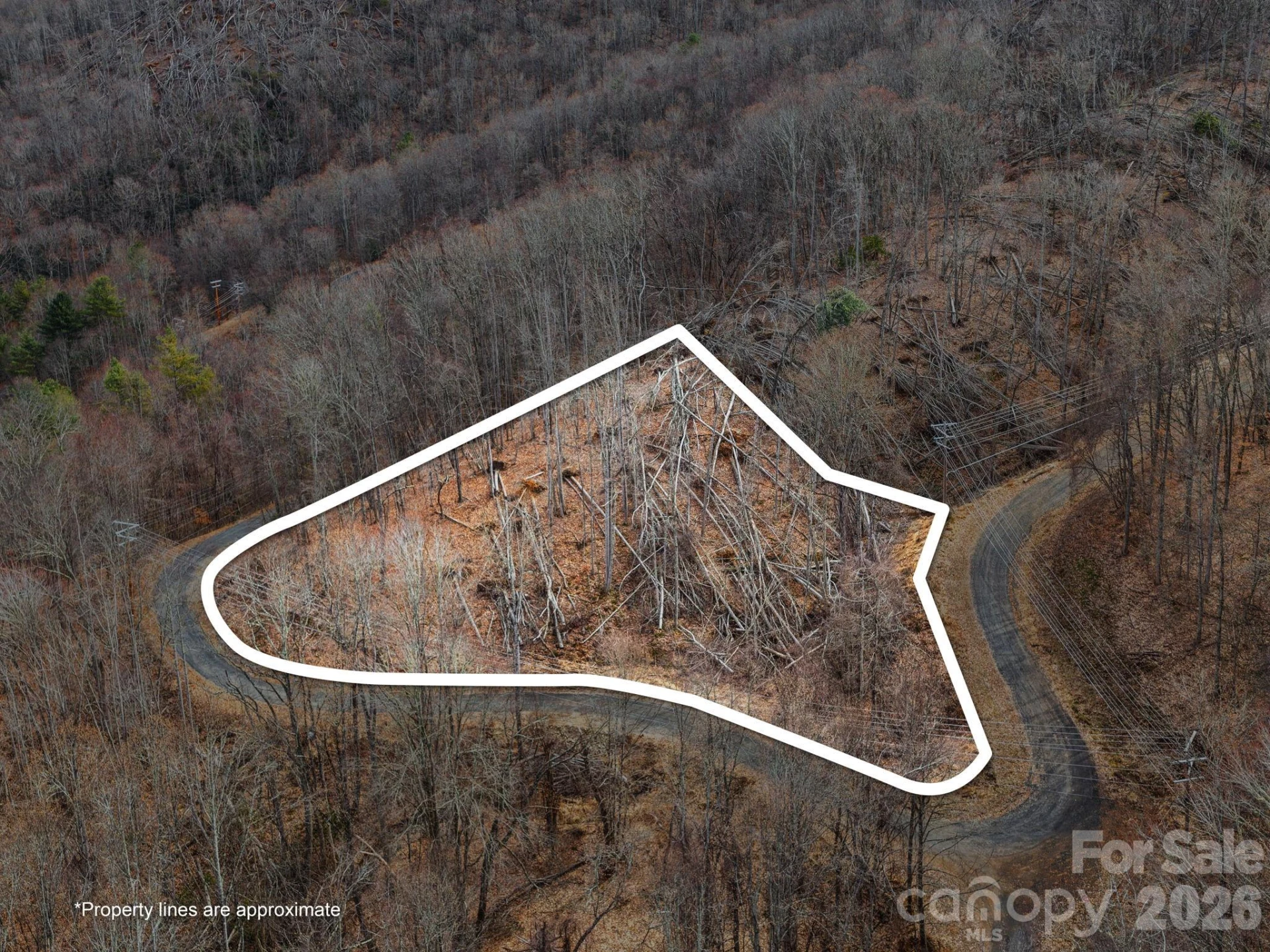 99999 Winterberry Road #11