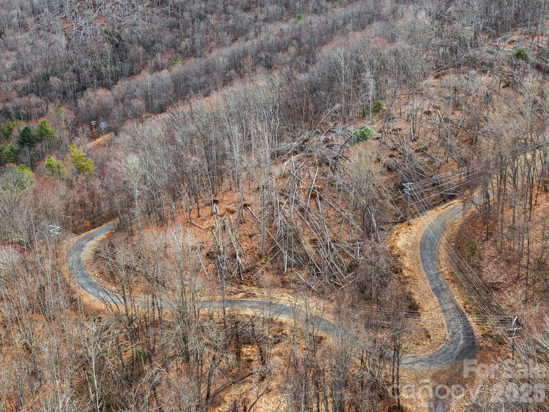 99999 Winterberry Road #11 - Photo 3