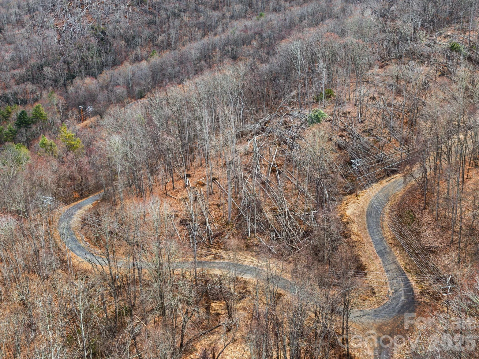 99999 Winterberry Road #11 - Photo 3