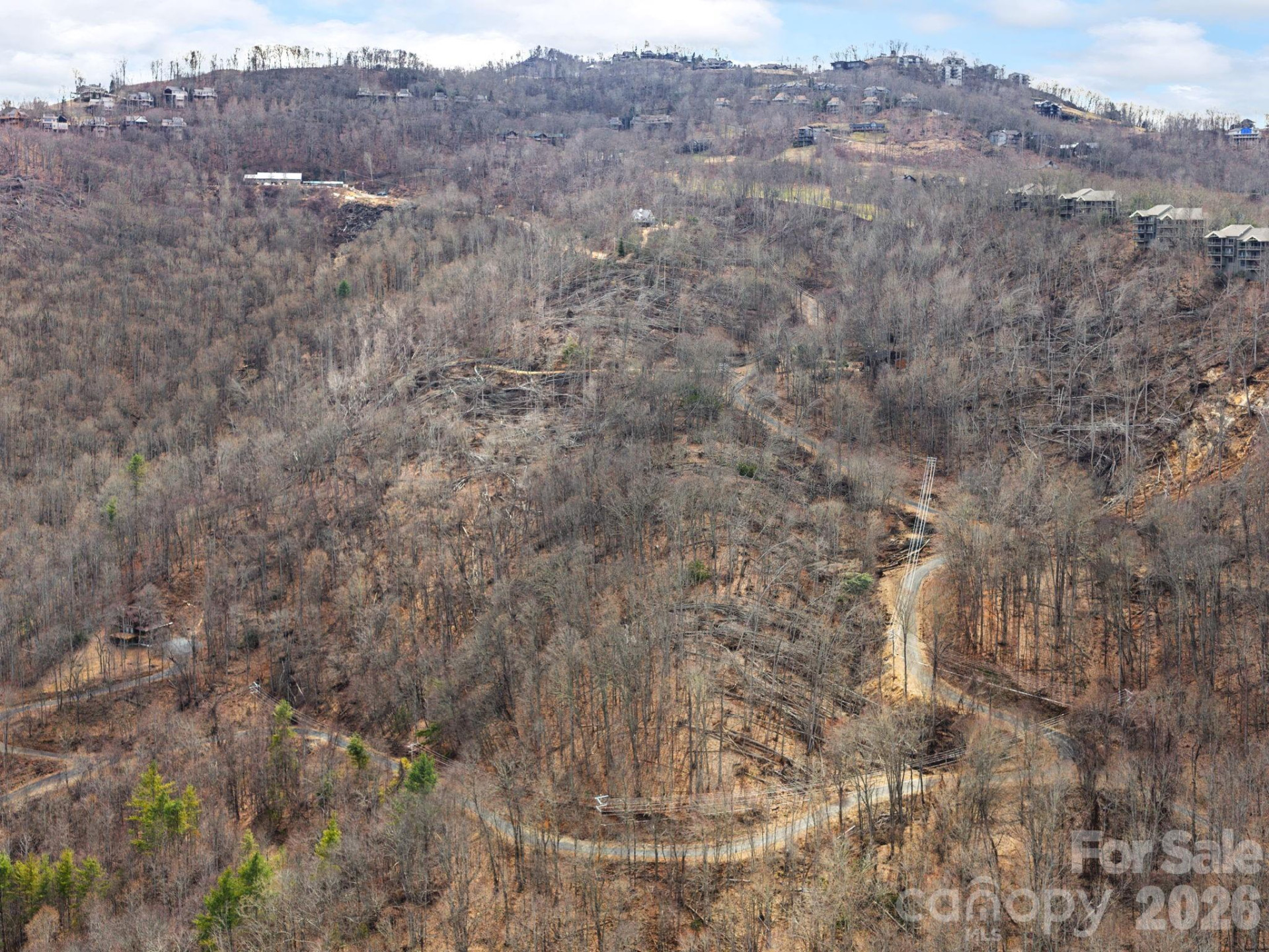 99999 Winterberry Road #11 - Photo 4