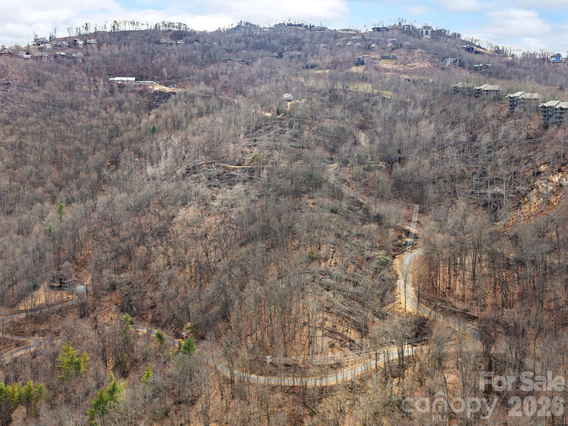 99999 Winterberry Road #11 - Photo 4
