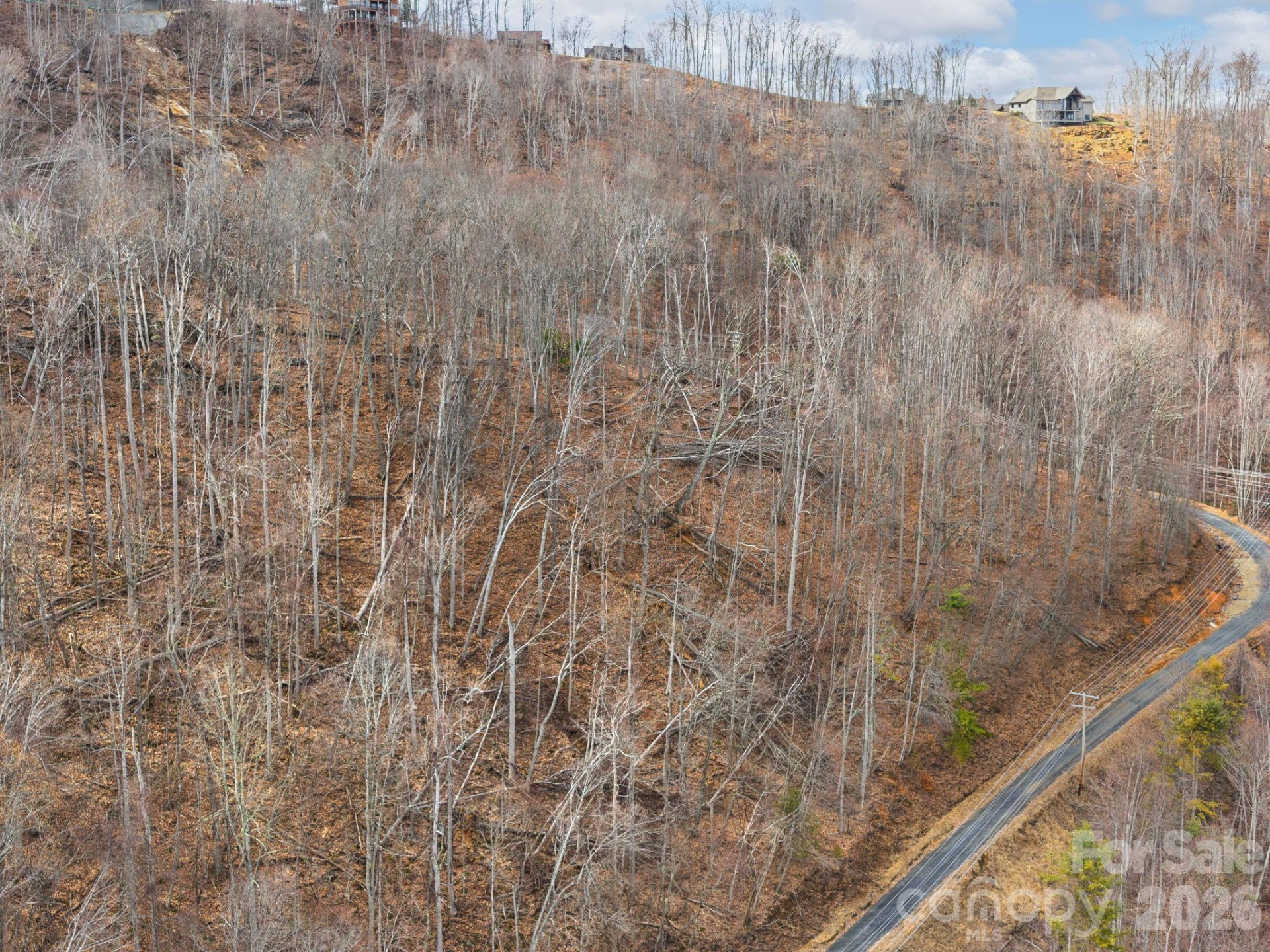 99999 Winterberry Road #11 - Photo 6