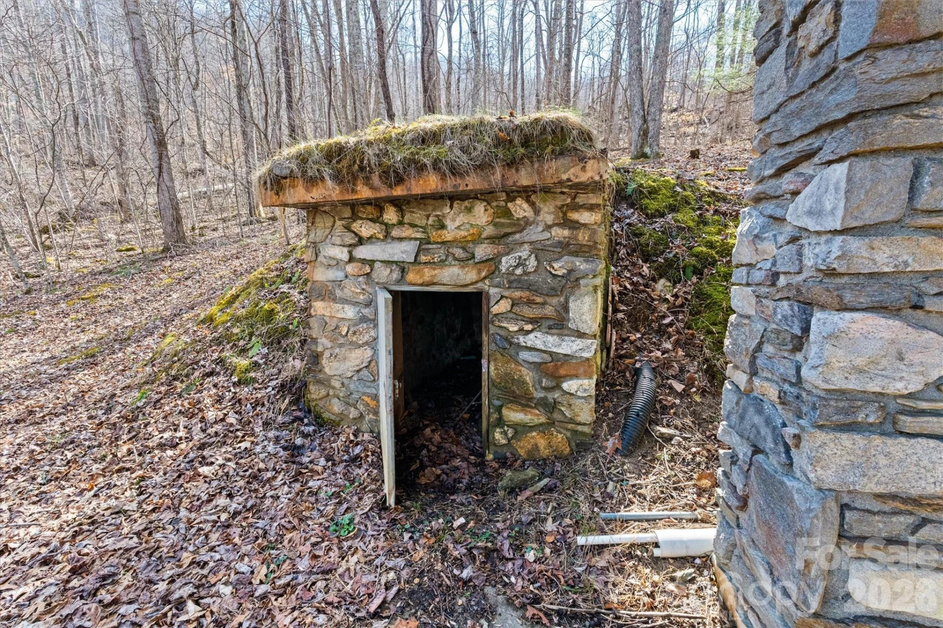140 Wild Mountain Lane - Photo 13