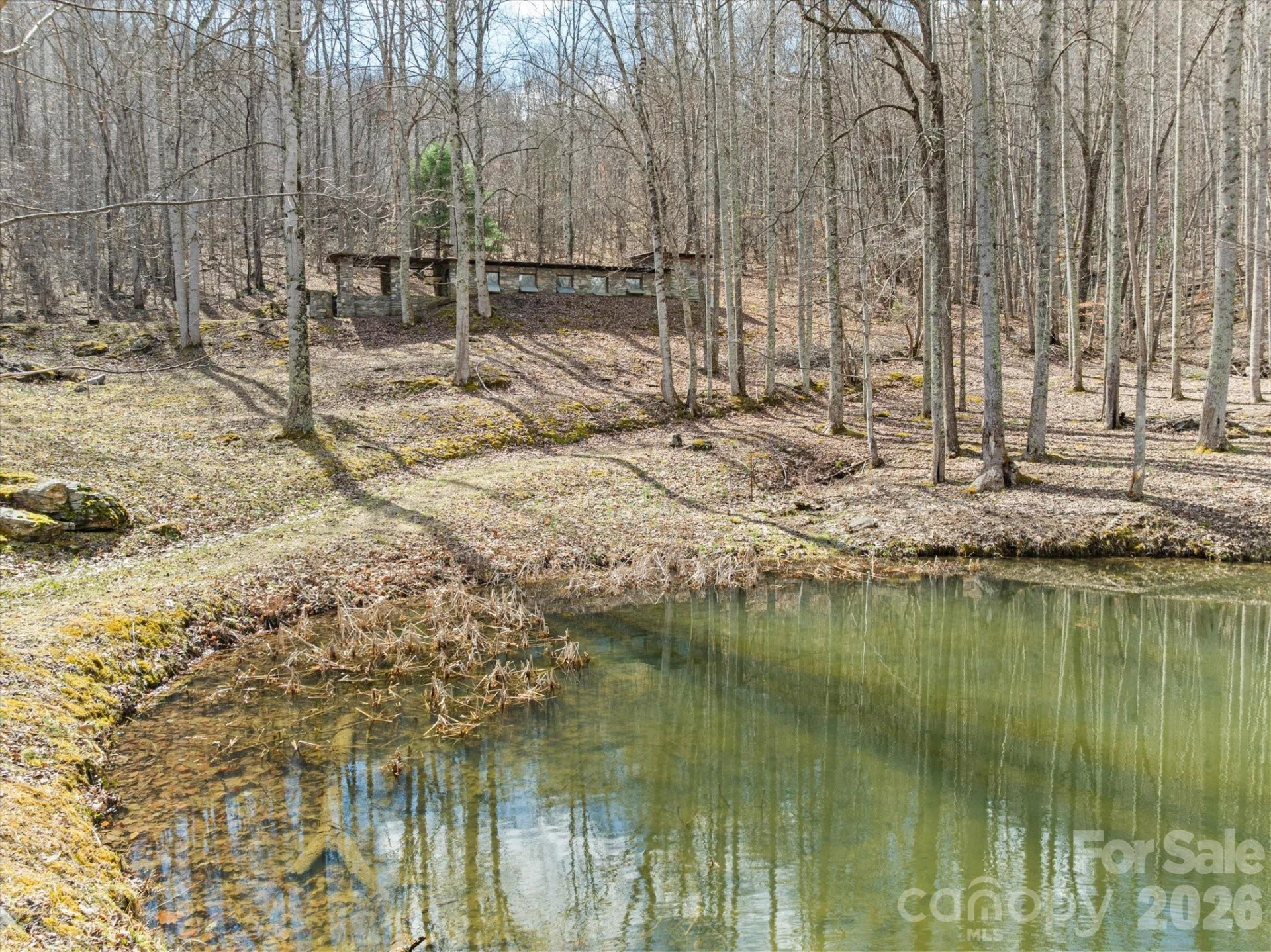 140 Wild Mountain Lane - Photo 16