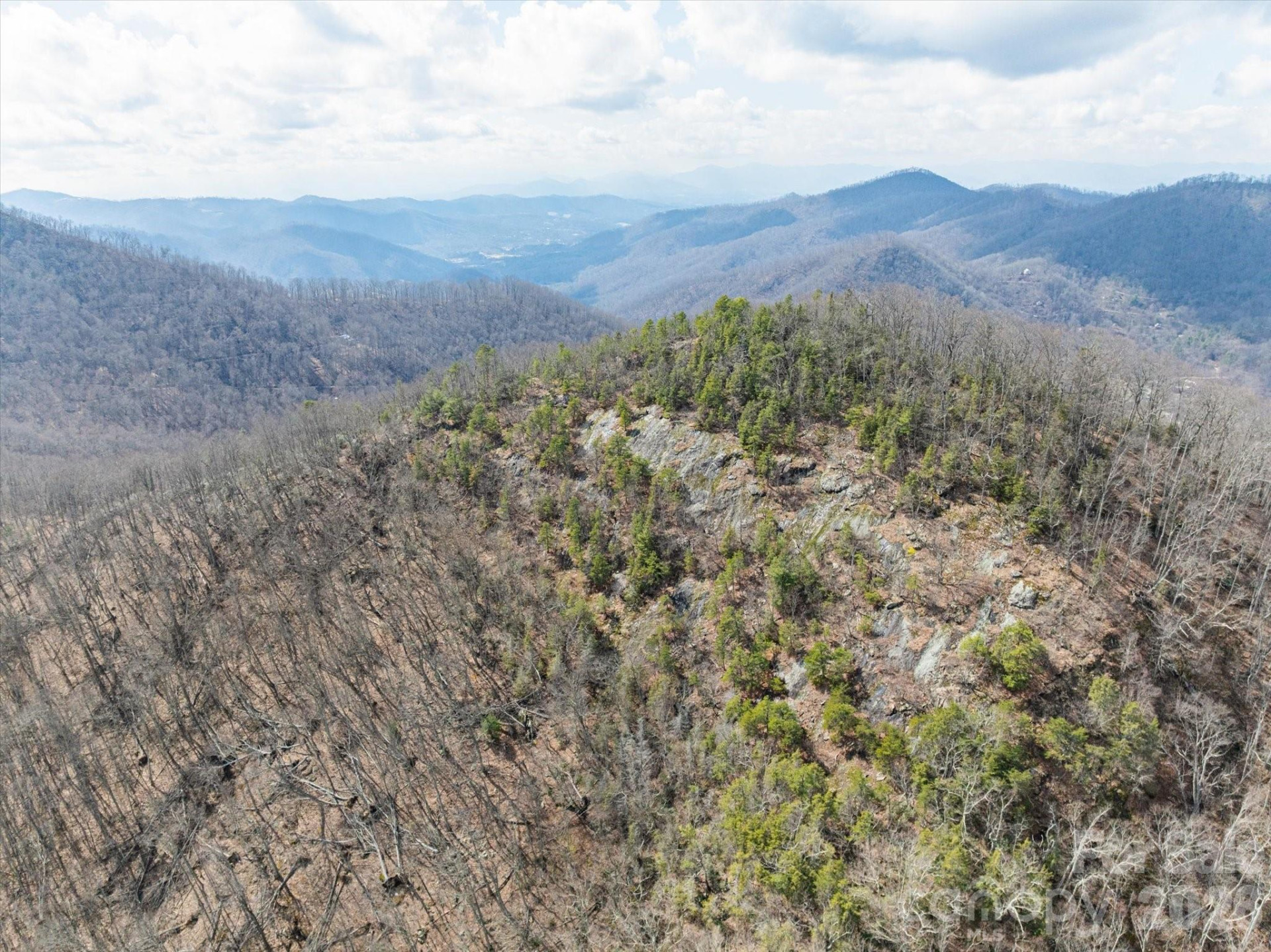 140 Wild Mountain Lane - Photo 19