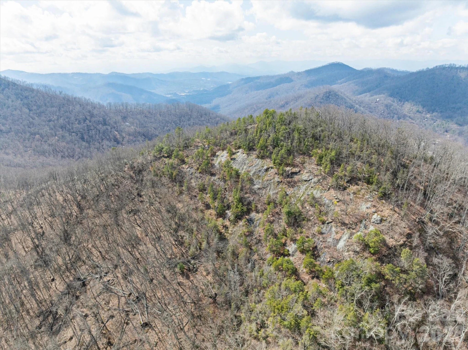 140 Wild Mountain Lane - Photo 19