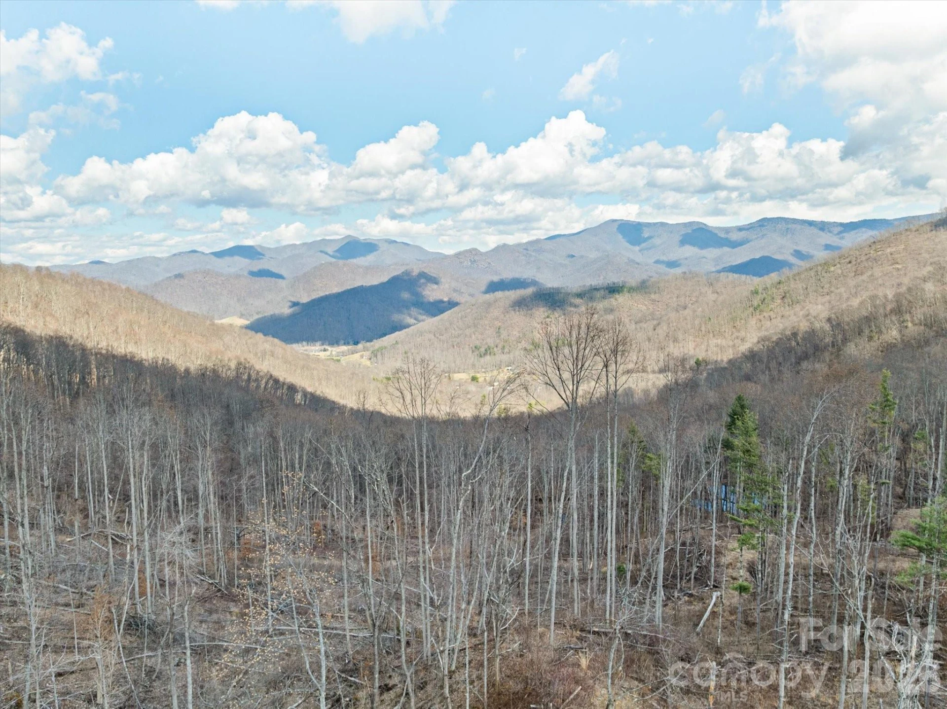 140 Wild Mountain Lane - Photo 20