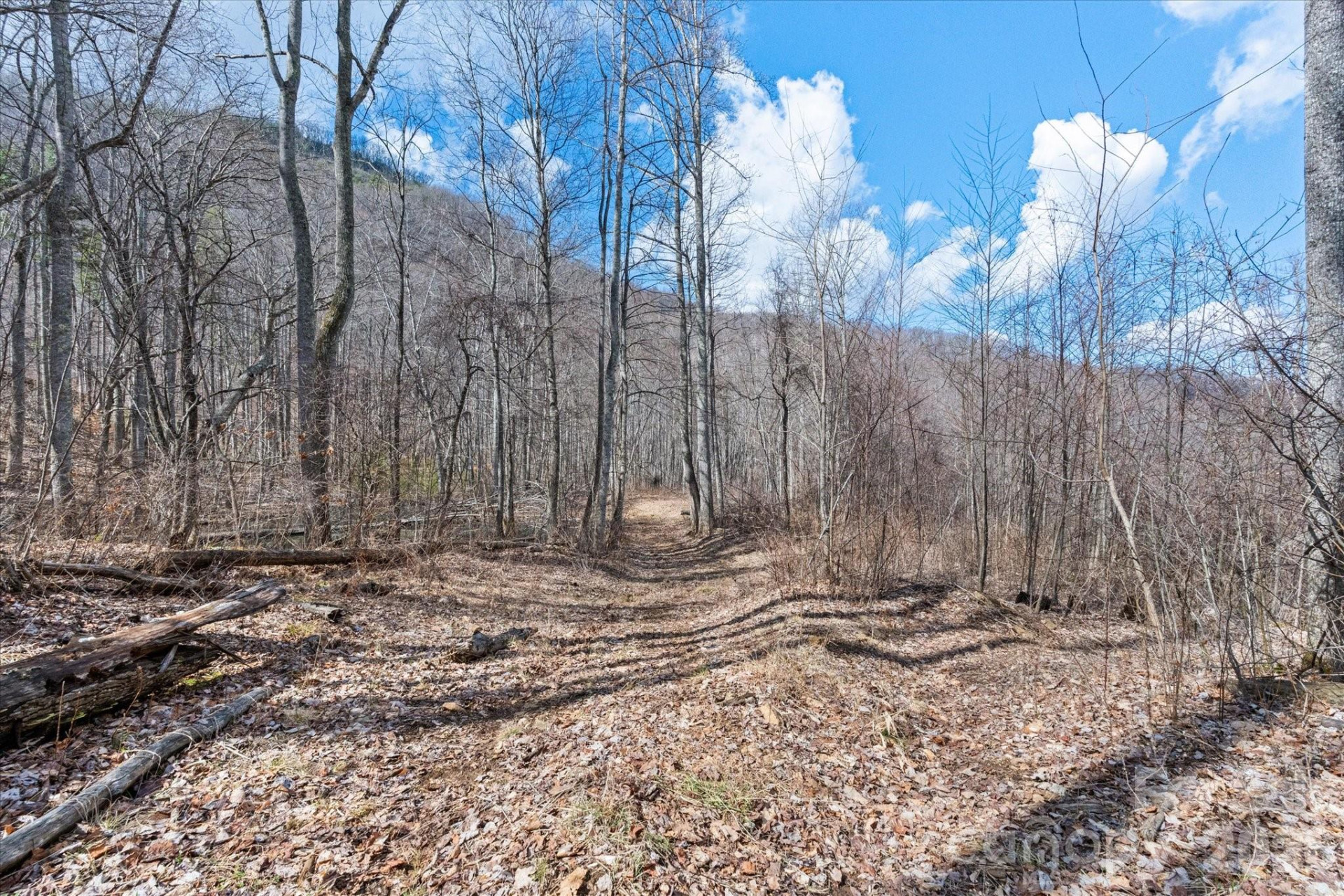 140 Wild Mountain Lane - Photo 22