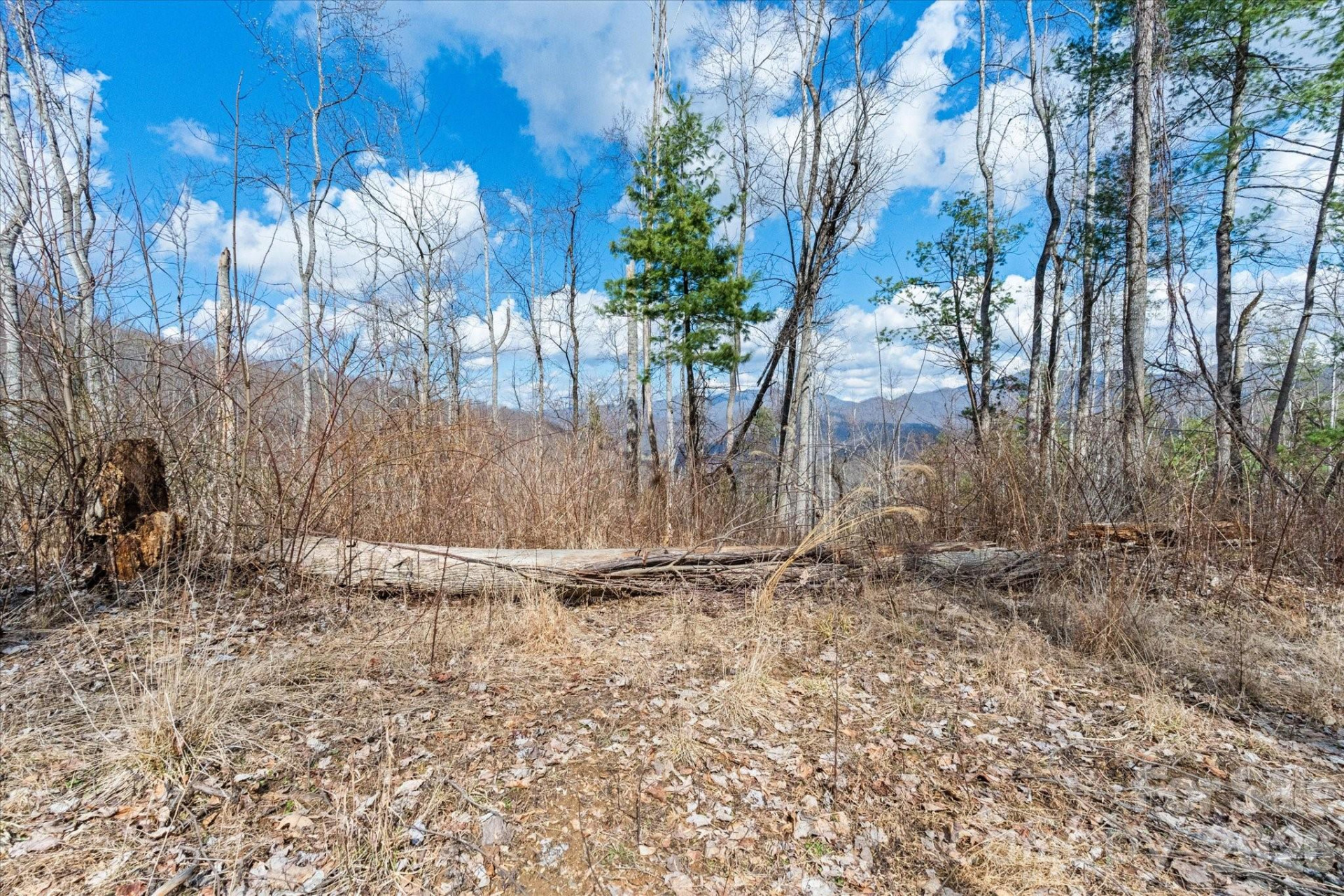 140 Wild Mountain Lane - Photo 4