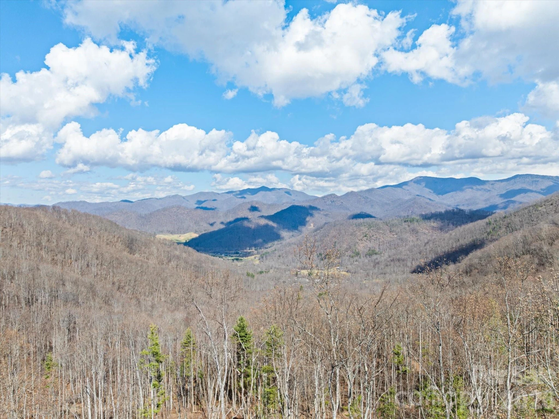 140 Wild Mountain Lane - Photo 5