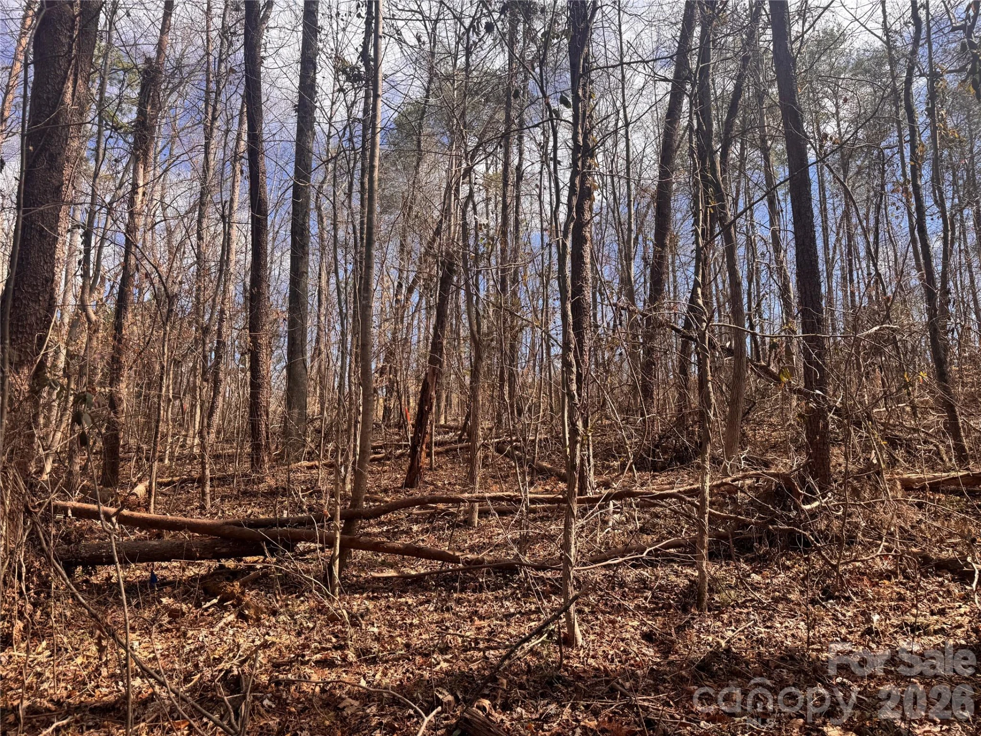 3924 Deer Run Drive - Photo 11
