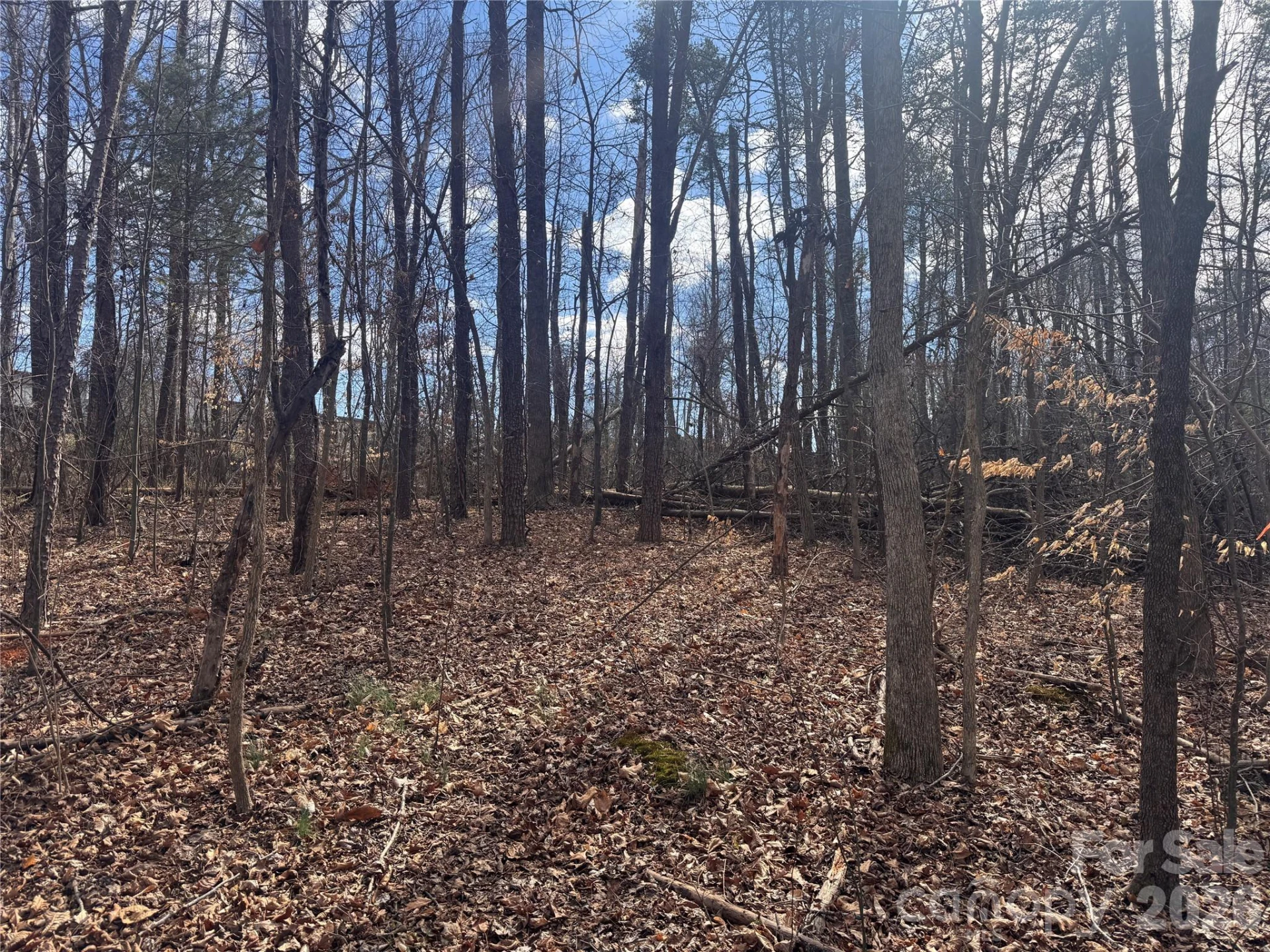 3924 Deer Run Drive - Photo 14
