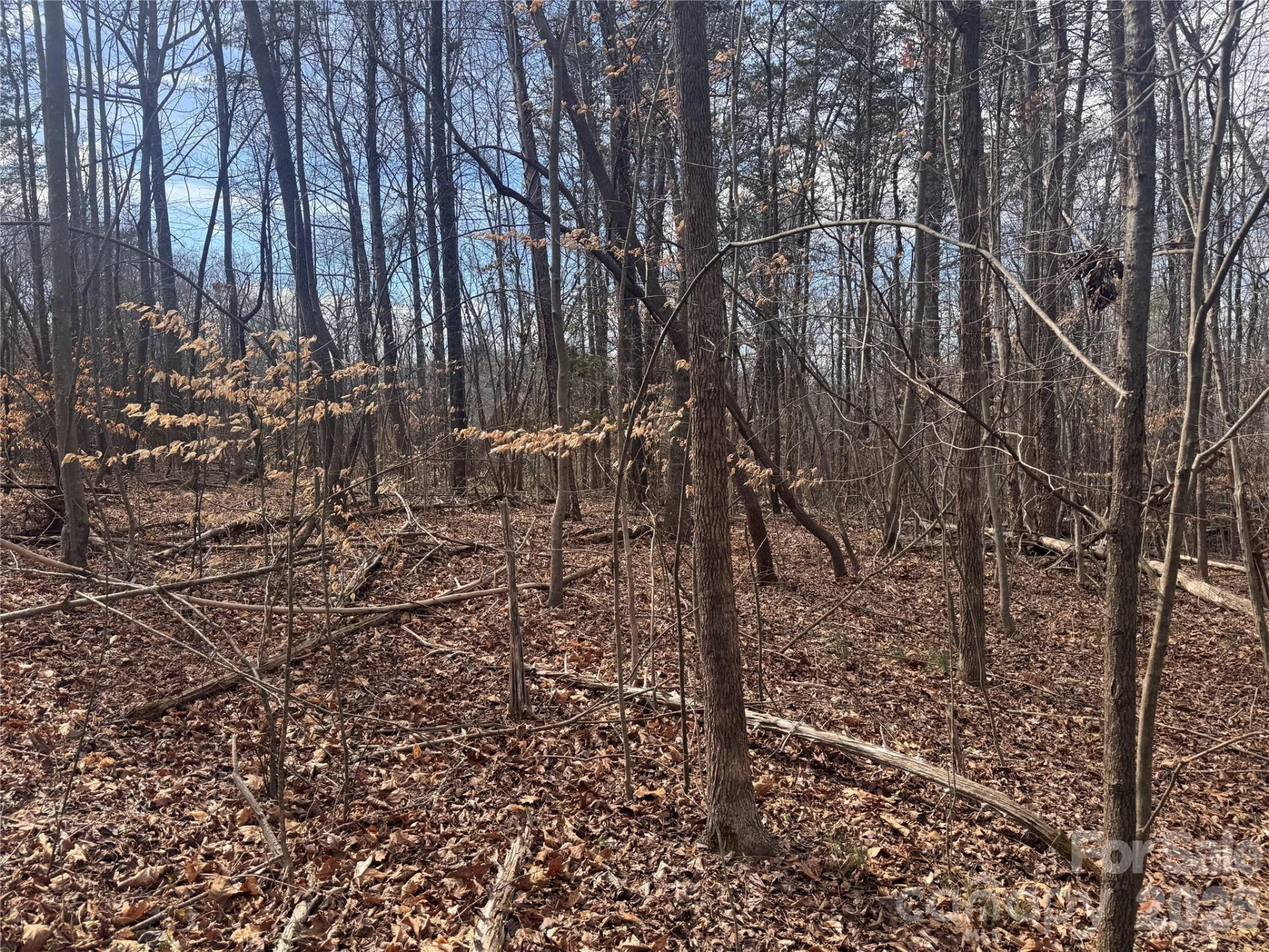 3924 Deer Run Drive - Photo 15