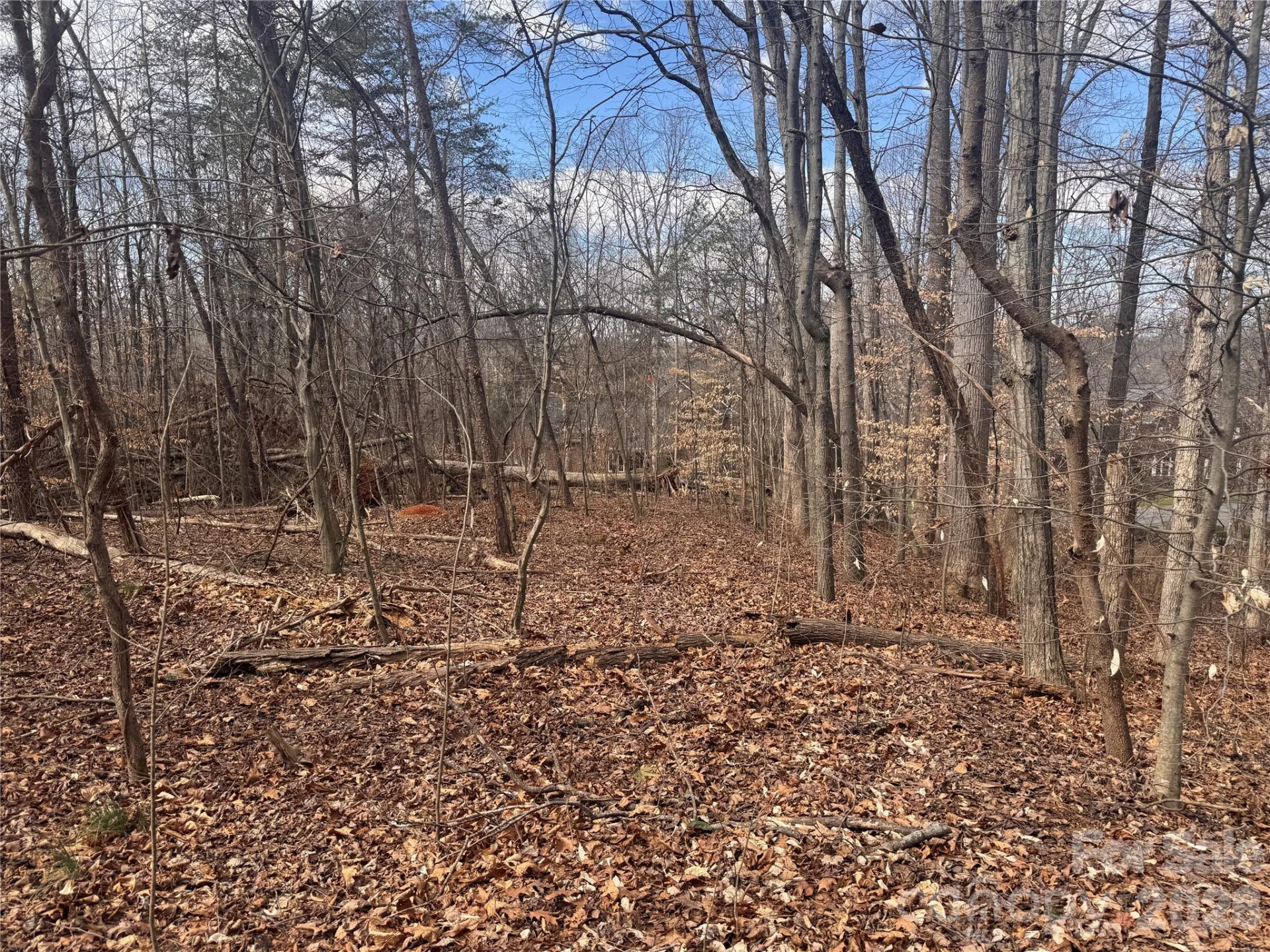 3924 Deer Run Drive - Photo 16