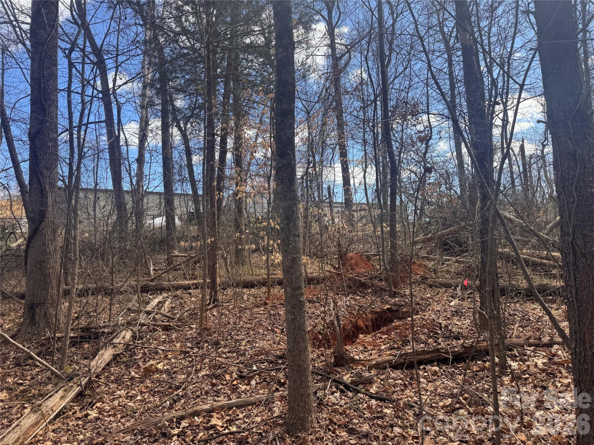 3924 Deer Run Drive - Photo 17