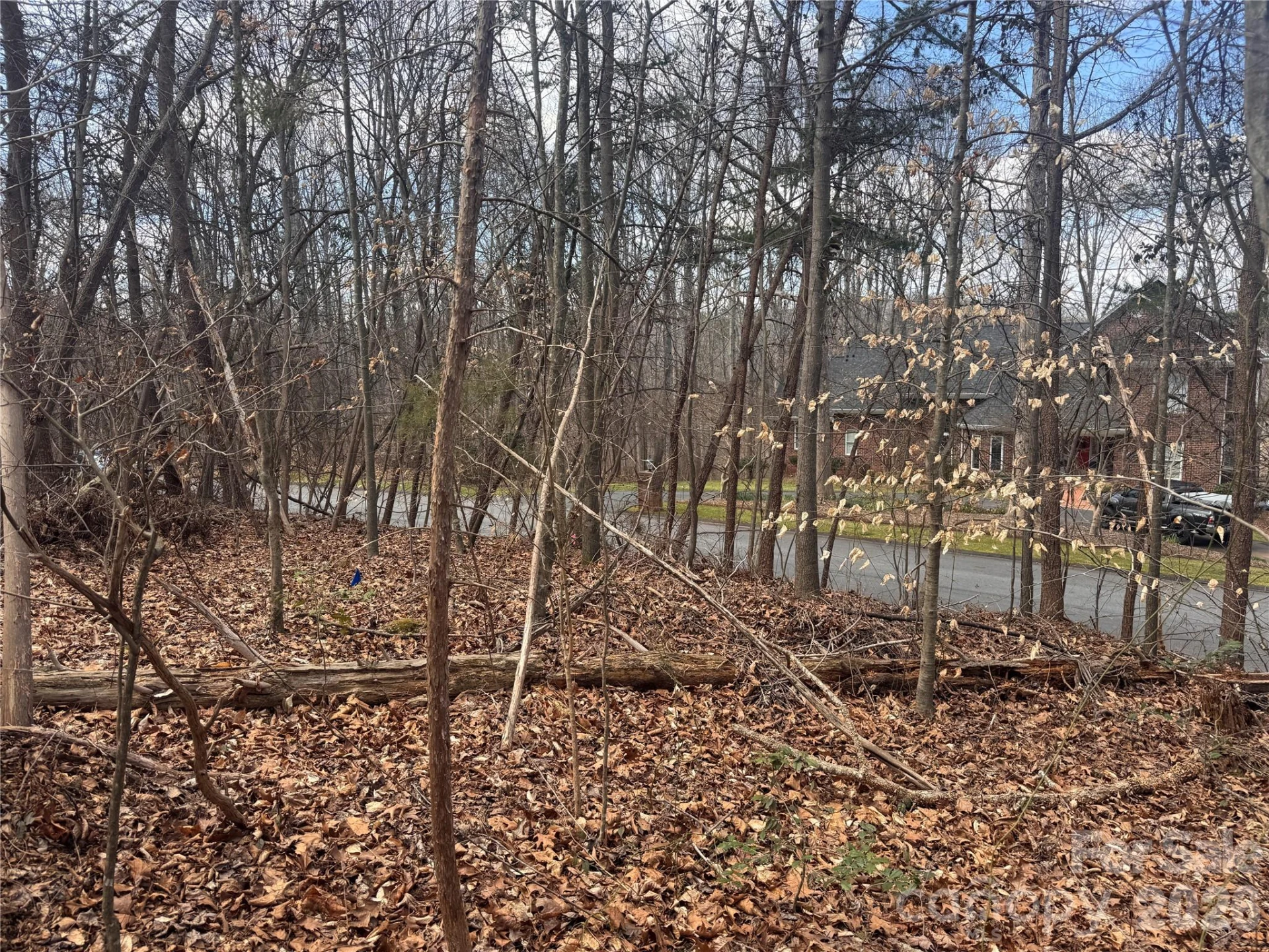 3924 Deer Run Drive - Photo 19