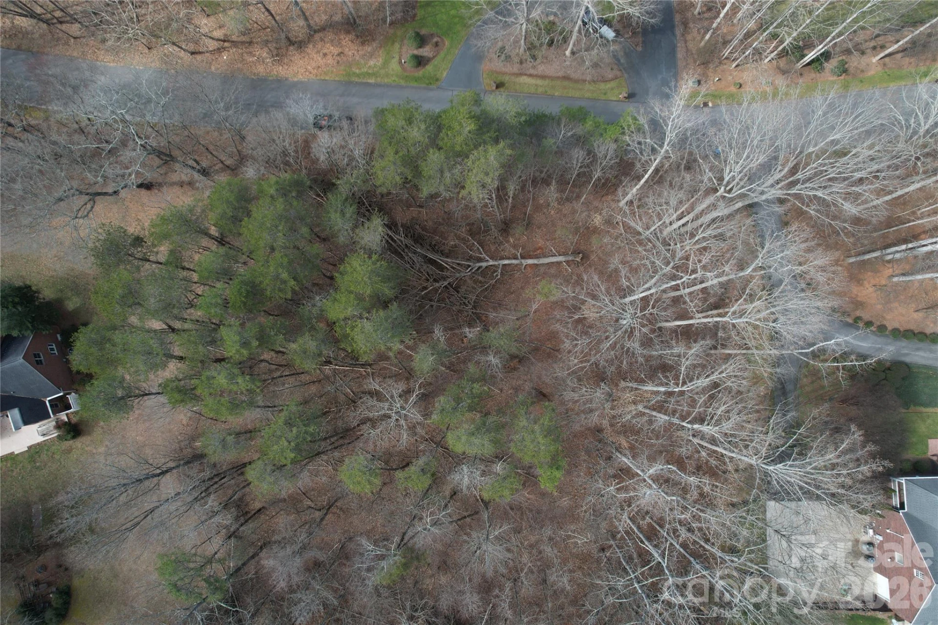 3924 Deer Run Drive - Photo 6