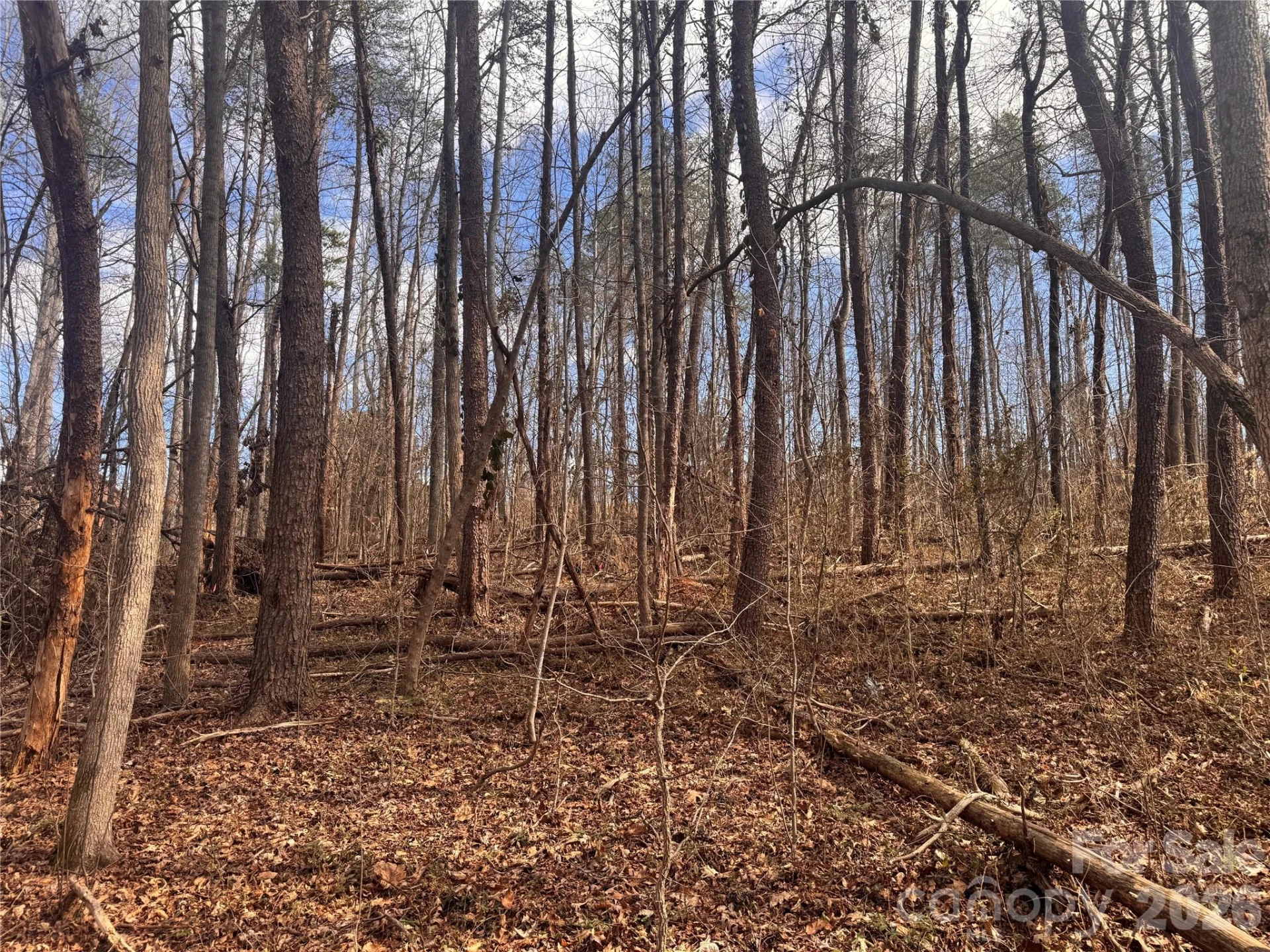 3924 Deer Run Drive - Photo 10