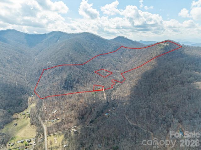 140 Wild Mountain Lane, Barnardsville, NC, 28709