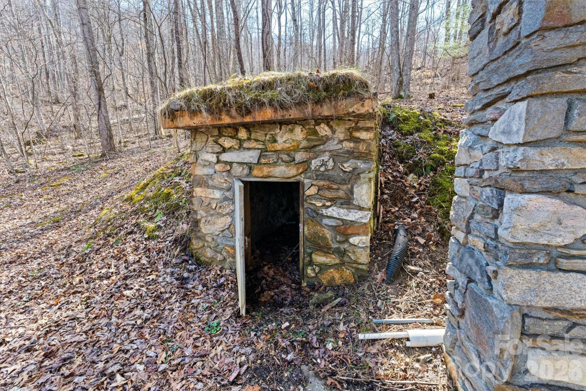 140 Wild Mountain Lane - Photo 13