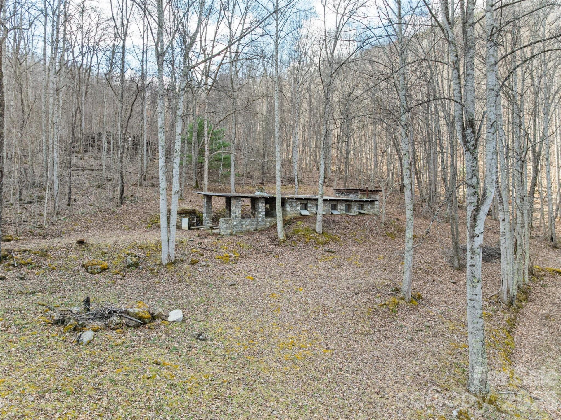 140 Wild Mountain Lane - Photo 15