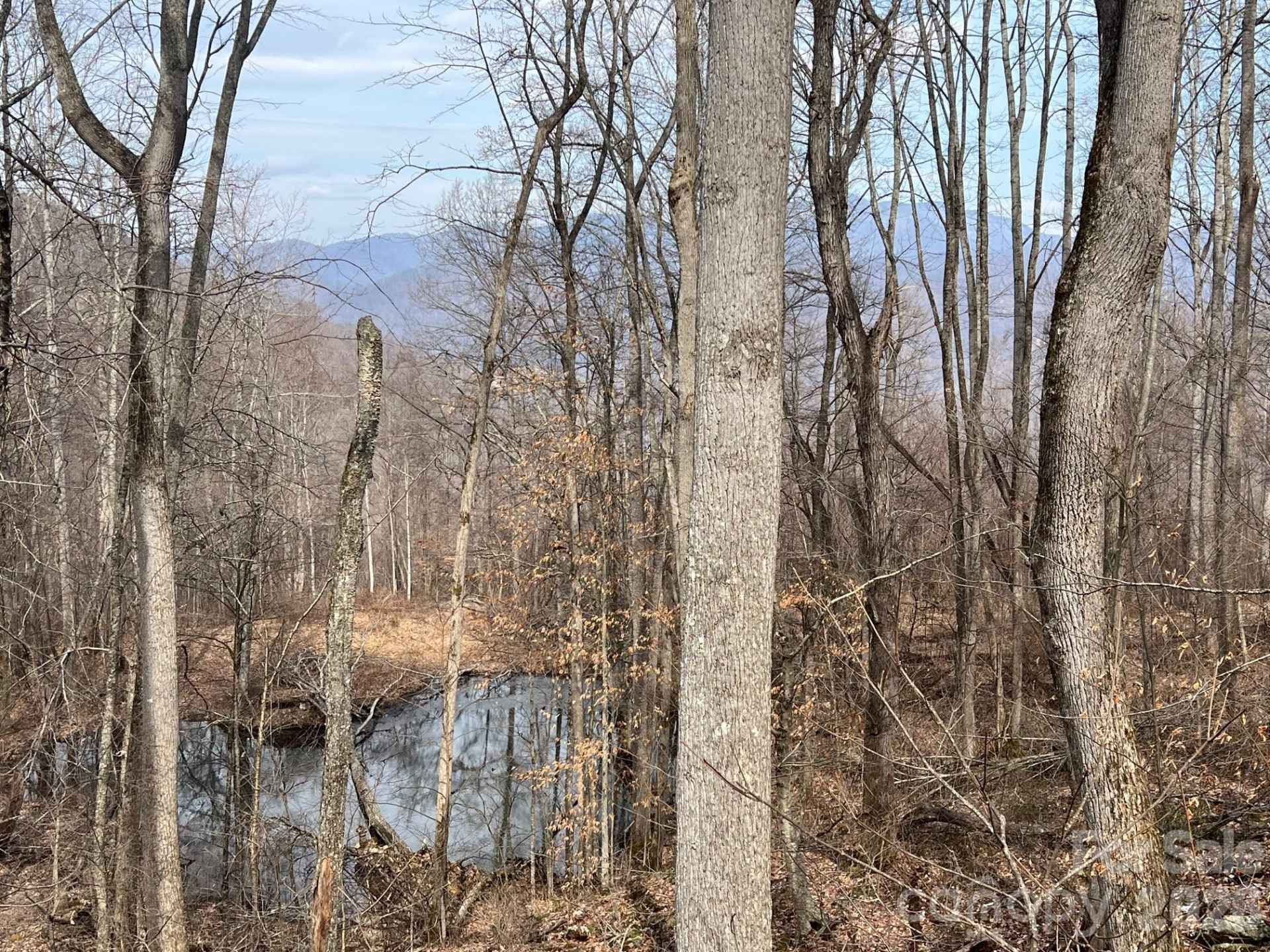 140 Wild Mountain Lane - Photo 18