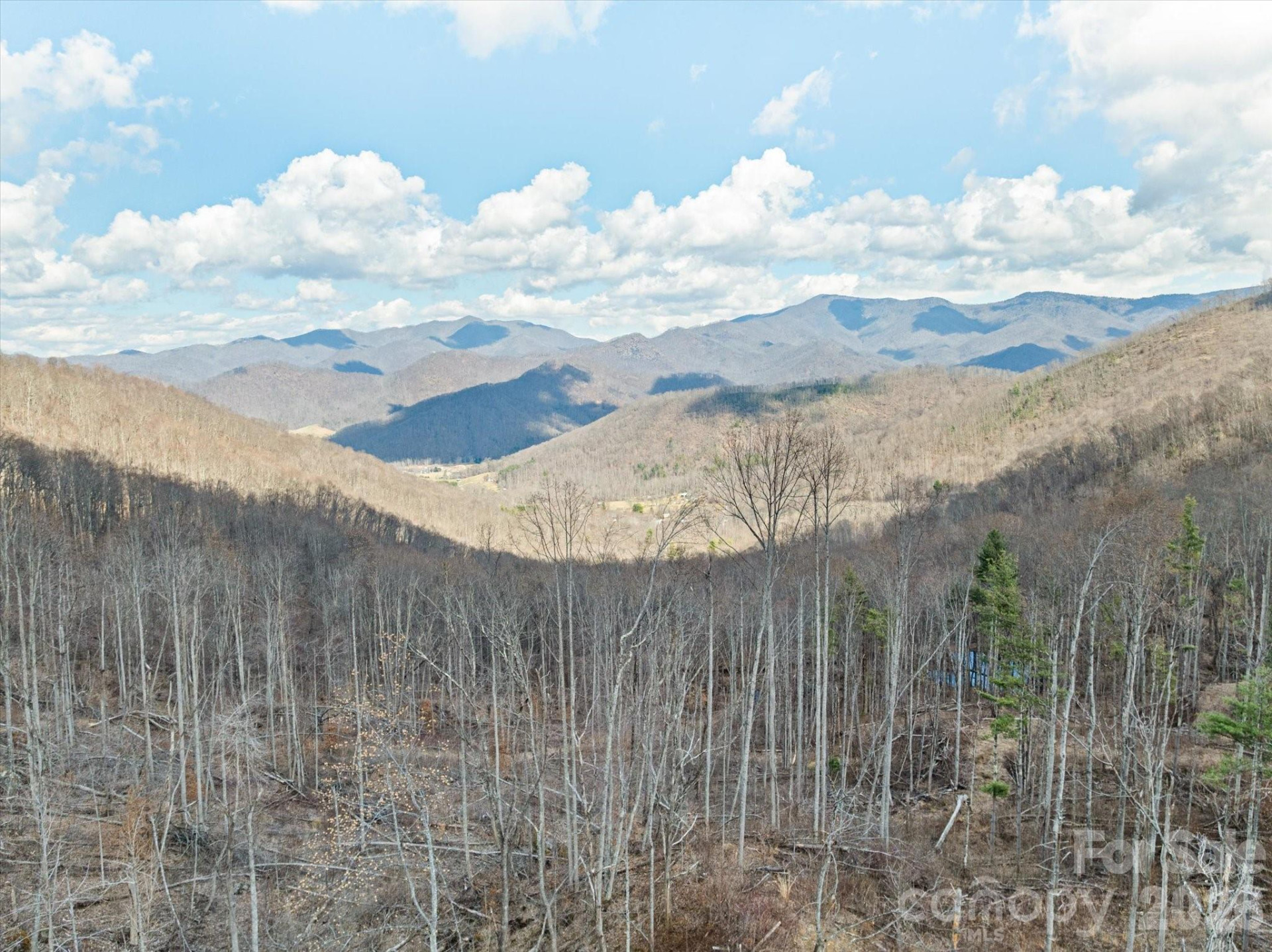 140 Wild Mountain Lane - Photo 20