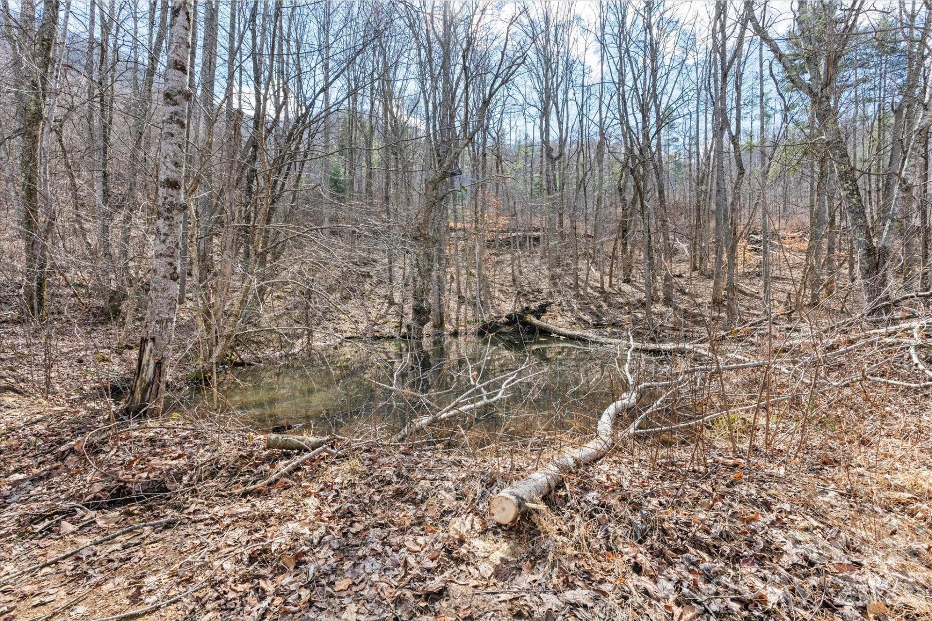 140 Wild Mountain Lane - Photo 21